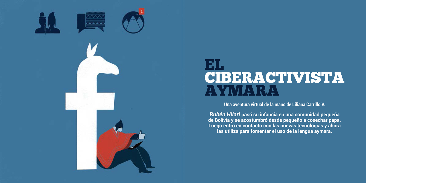 Civeractivista aymara pweb.jpg