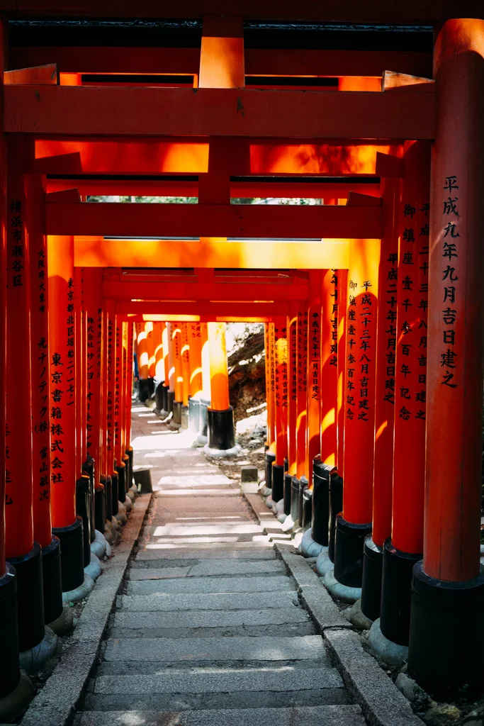 one of many torii