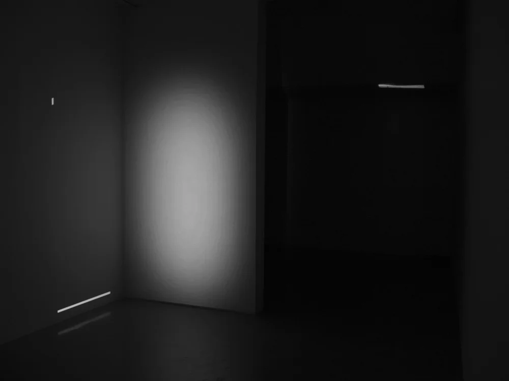 WBL_delineationsIII08.jpg