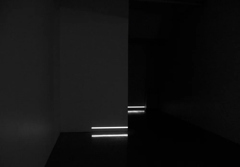 WBL_delineationsIII02.jpg