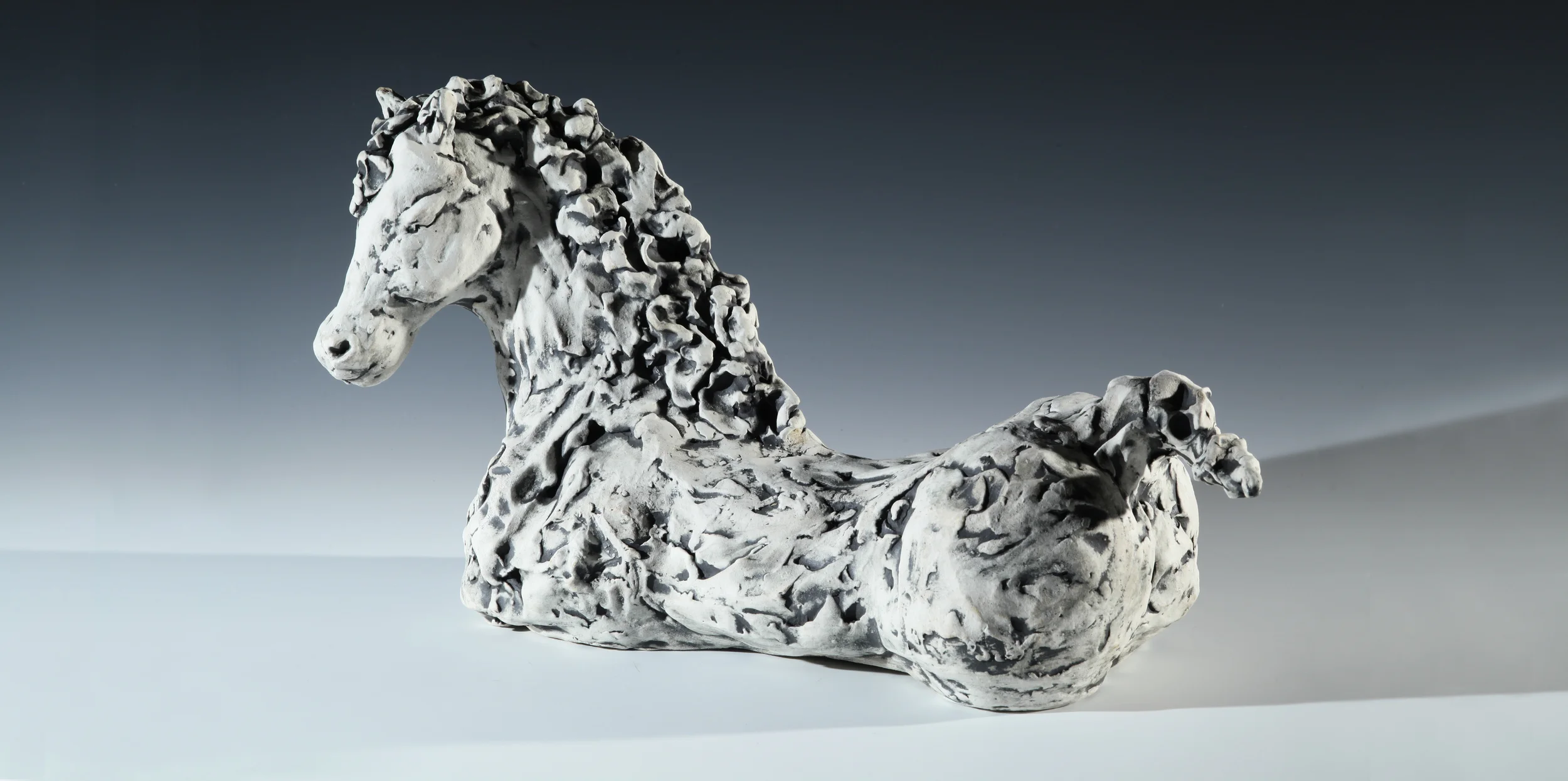 Black and White Horse