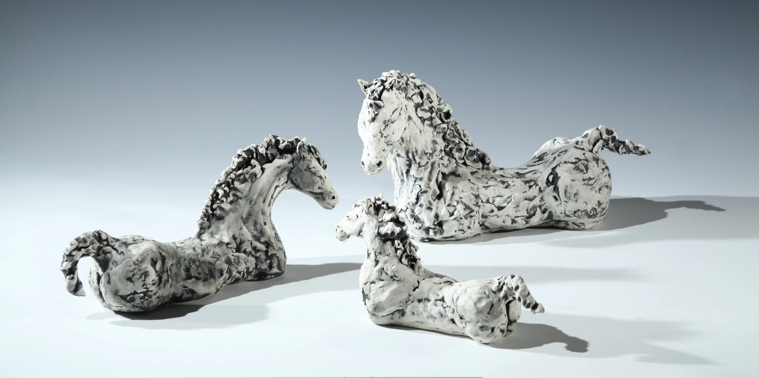 Trio of Black and White Horses