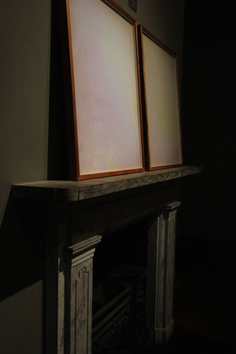 Acid/Gothic , Elizabeth Bay House installation view