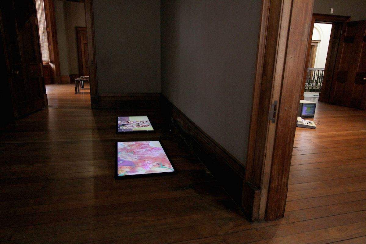 Giselle Stanborough The Lonely Tail , 2012 Four-channel video (exhibited: holezits and holebody , not exhibited: holefood and holeshots ) Commissioned for "There's a Hole in the Sky", curated by Tom Polo at Campbelltown Arts Centre. Courtesy of the artist. Pia van Gelder Apparition Apparatus , 2012 No-input set-up: Panasonic WJ MX-12 Video Mixer, Sony Trinitron CRT monitor, powered speaker Courtesy of the artist Acid/Gothic , Elizabeth Bay House installation view