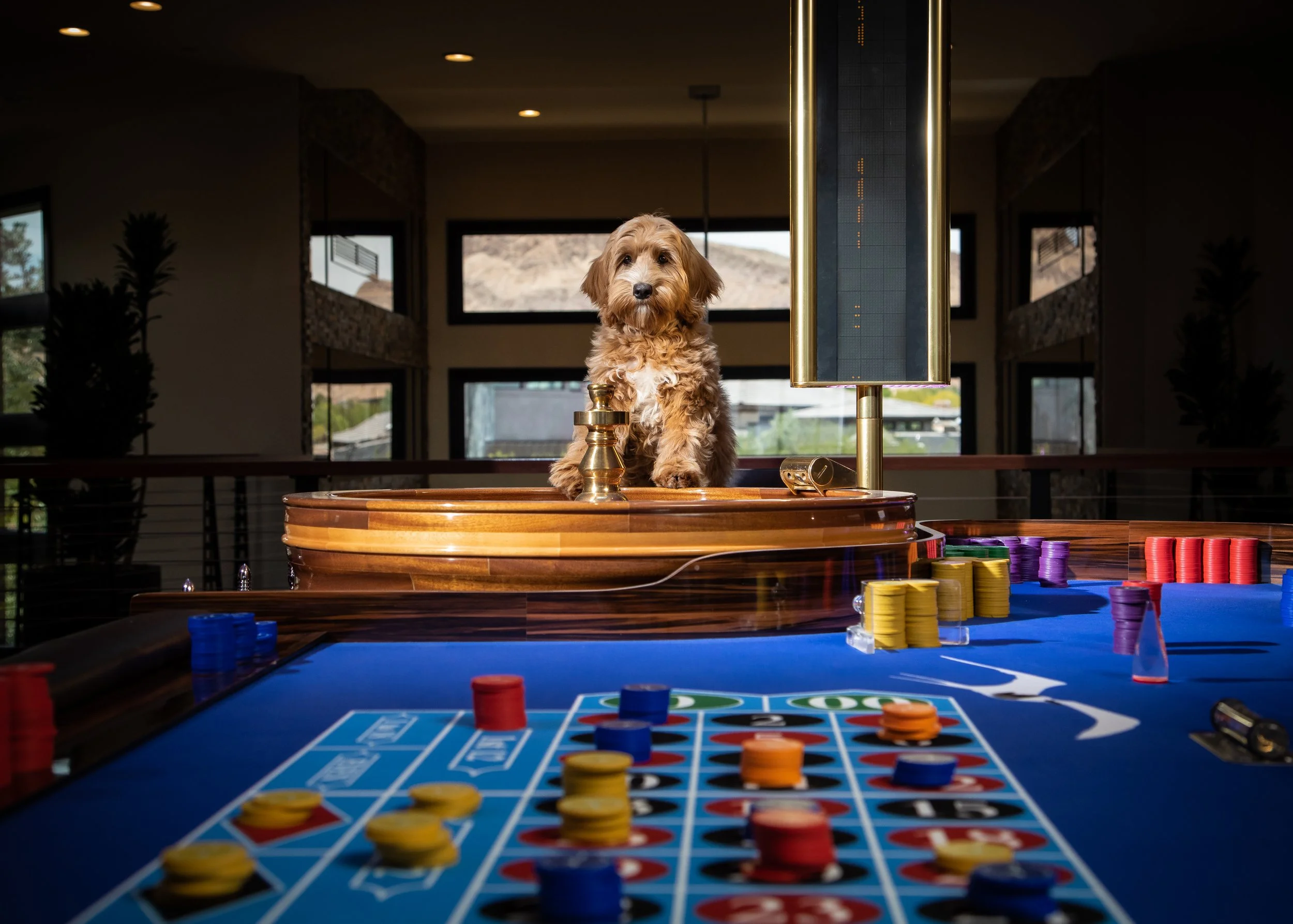 The Gambler-9.jpg