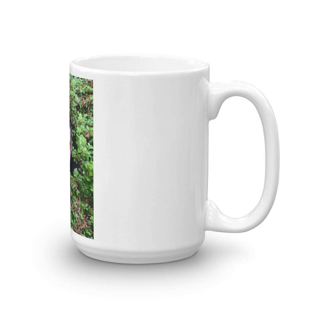 aaronface_mockup_Handle-on-Right_15oz.png