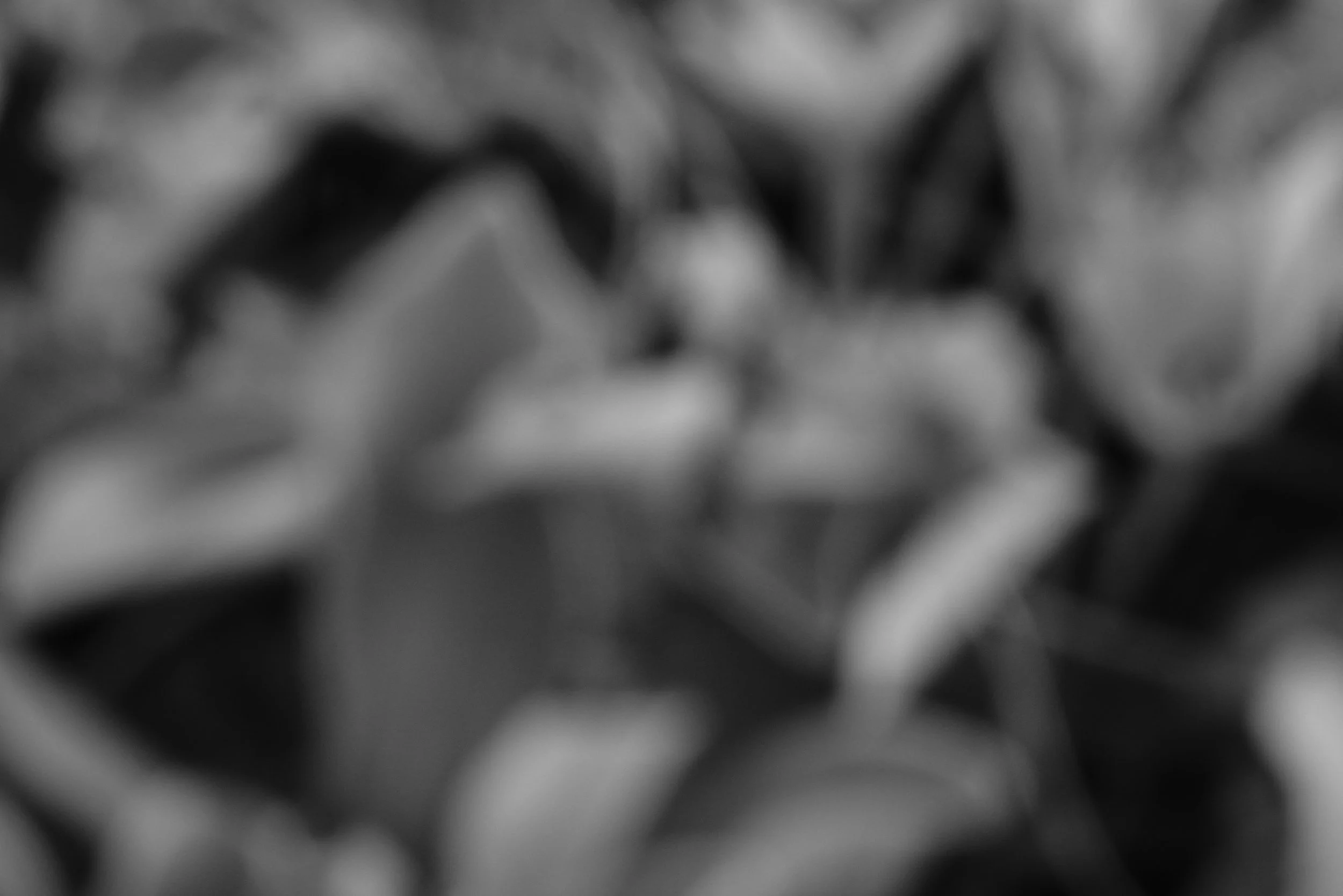 DSC03303.JPG