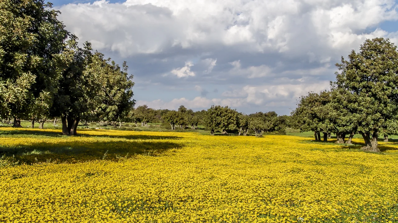DSC11047-38_1280.jpg