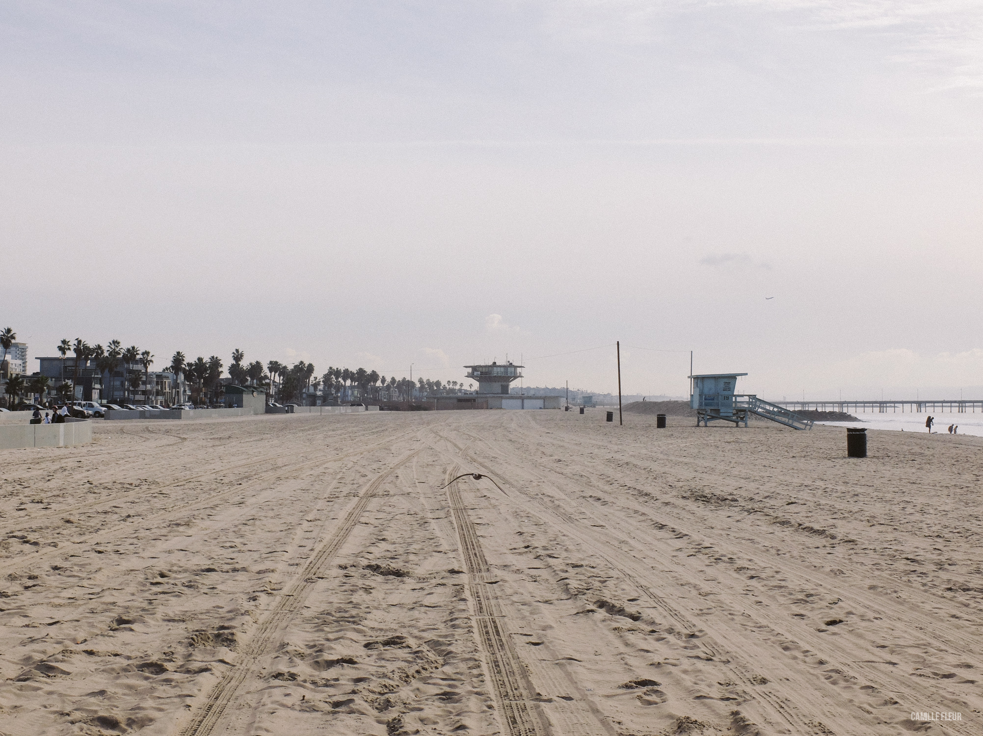 roadtrip-la-5.jpg