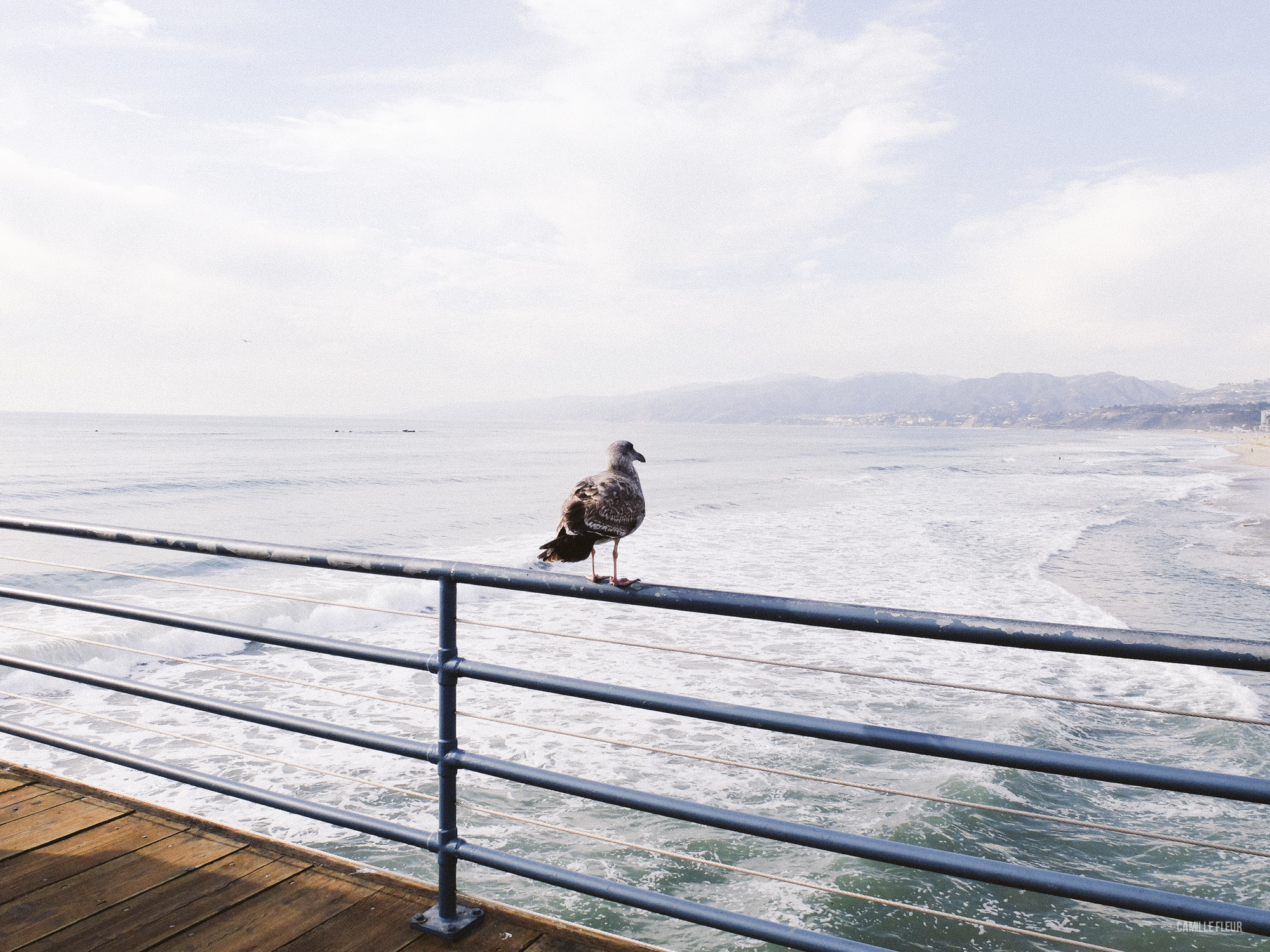 roadtrip-la-69.jpg