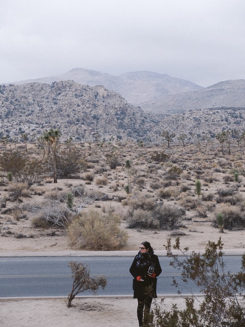 roadtrip-joshuatree-19.jpg