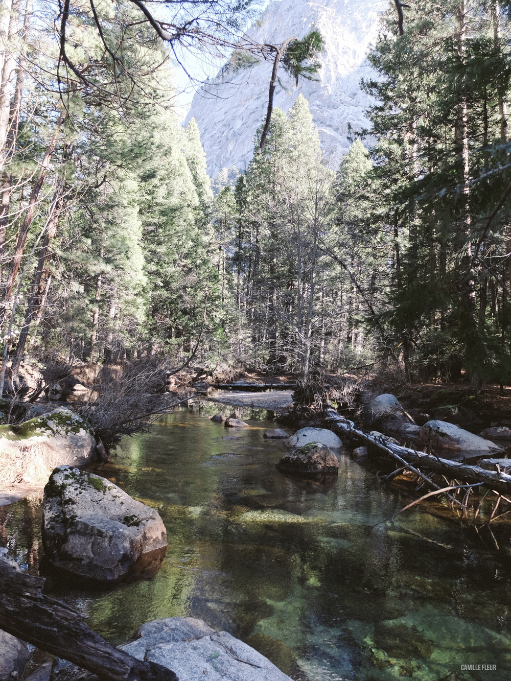 yosemite-46.jpg