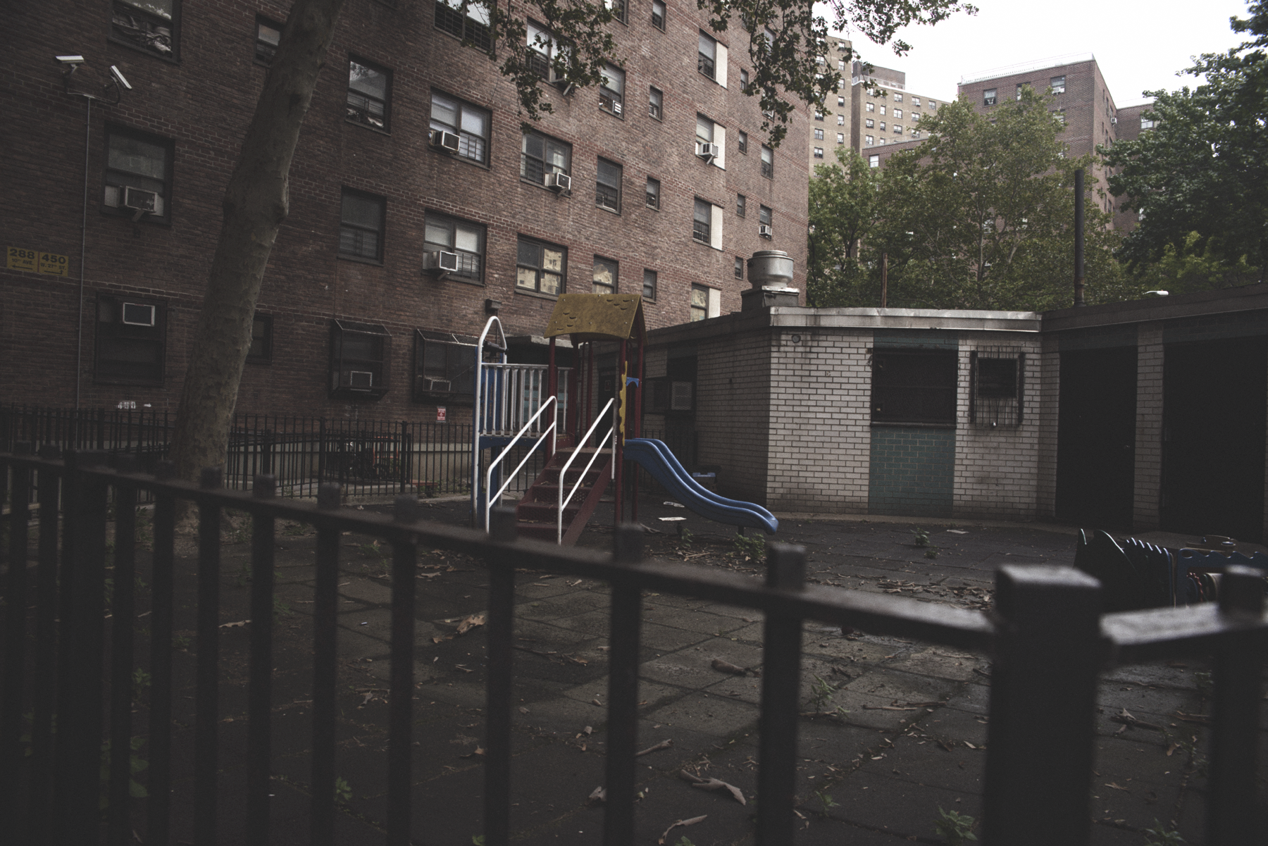 _DSC6317-HDR.png
