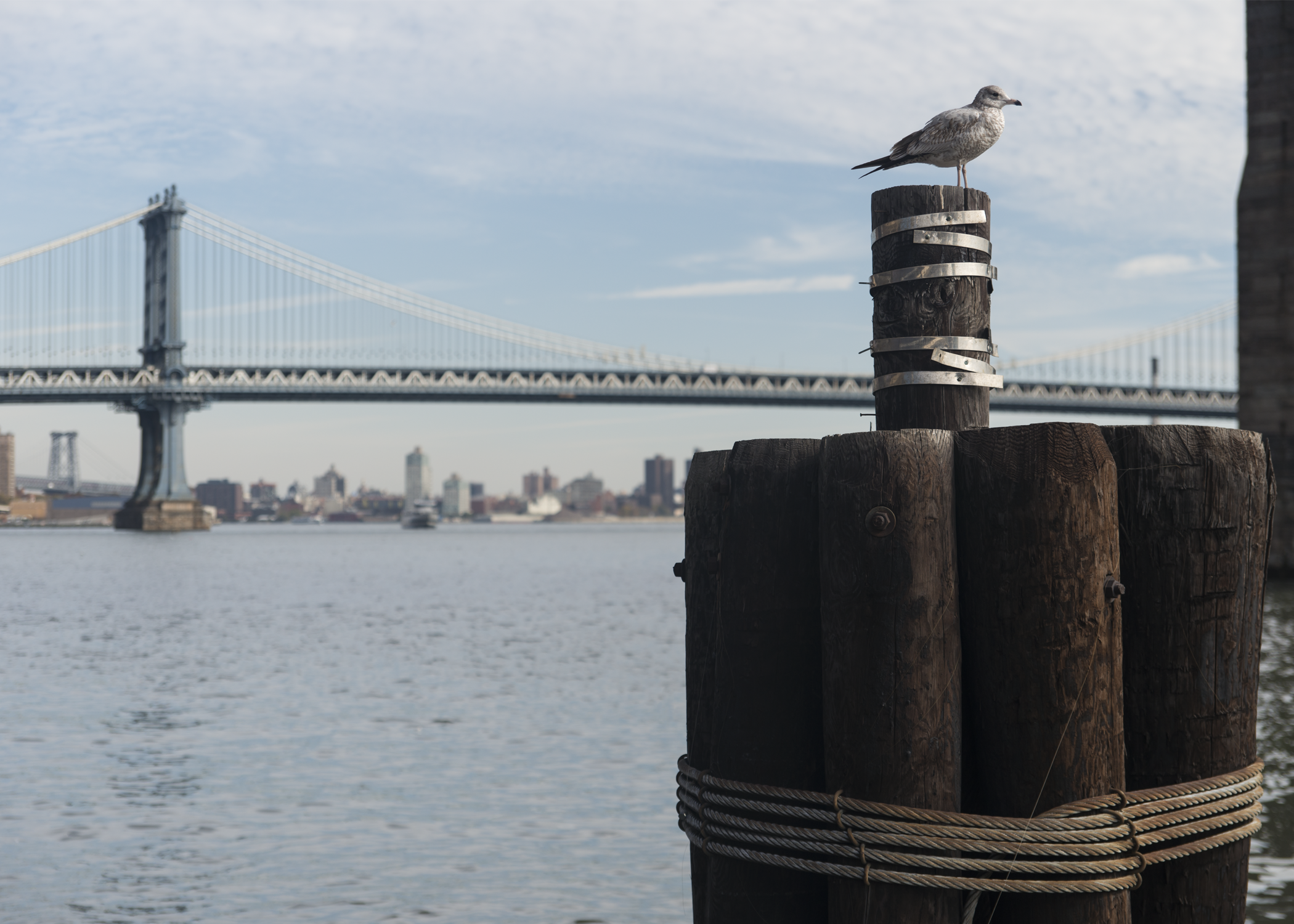 _DSC6835.png