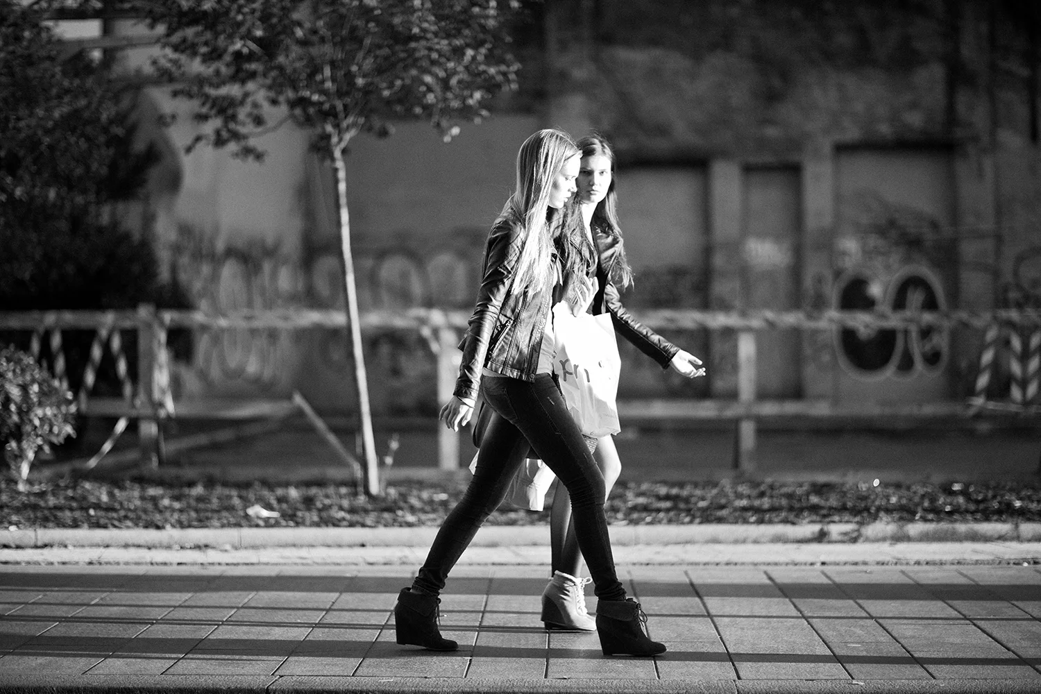 _MG_0865.jpg