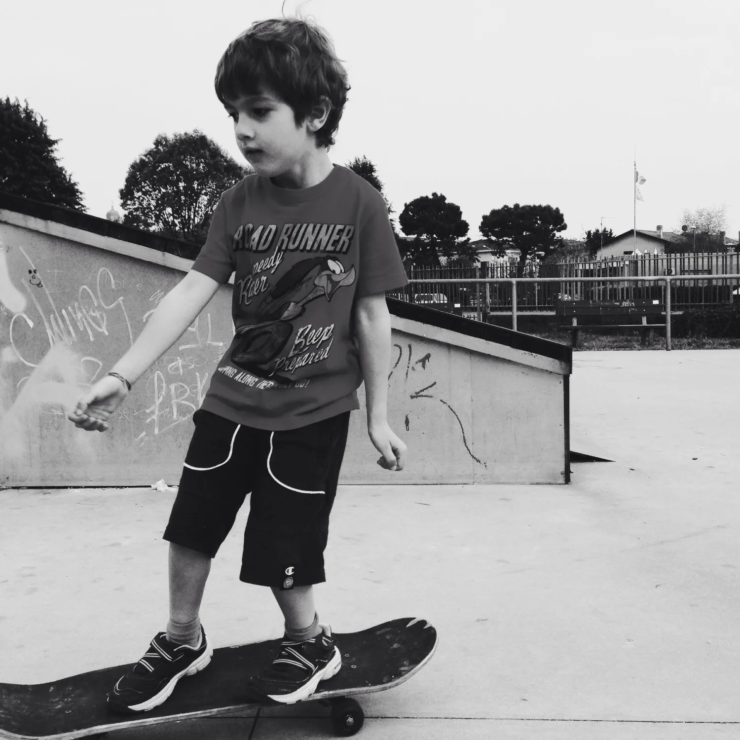 skate.boy, bergamo lombardia