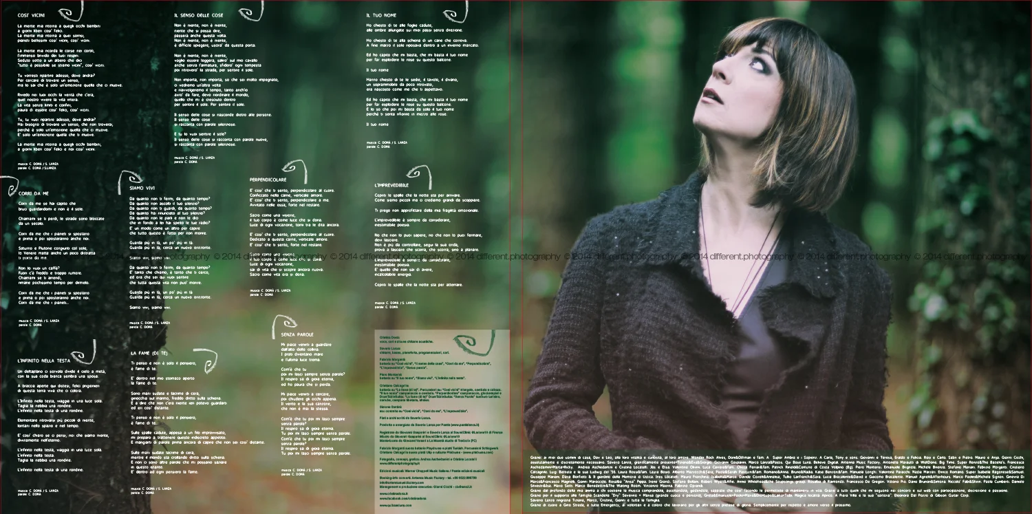 busta vinile_interno