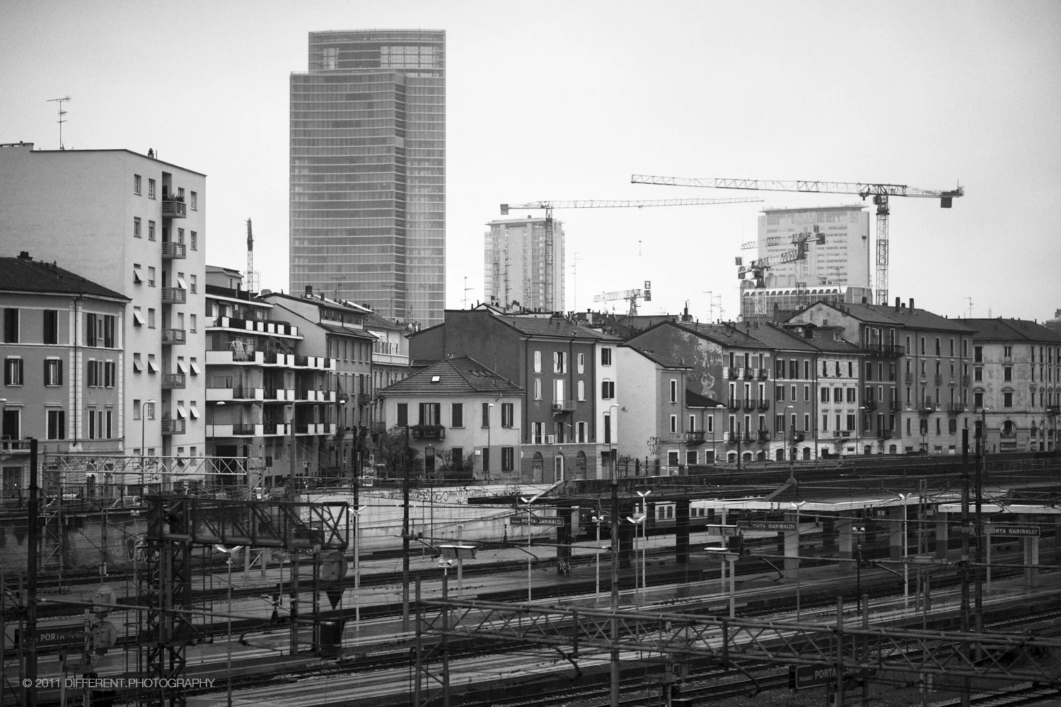 _MG_0984.jpg