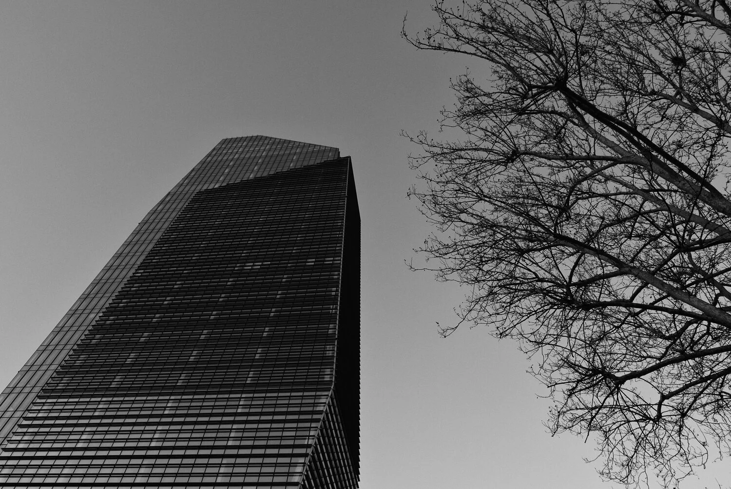  VETRO.CEMENTO.LEGNO /  GLASS.CONCRETE.WOOD  | piazza Bo Bardi, Milano 2015 