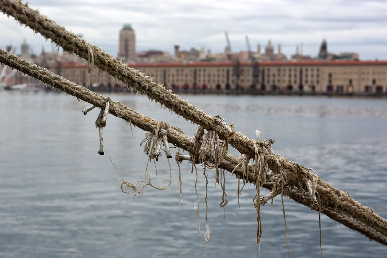  (09) Genova (ITALIA) 