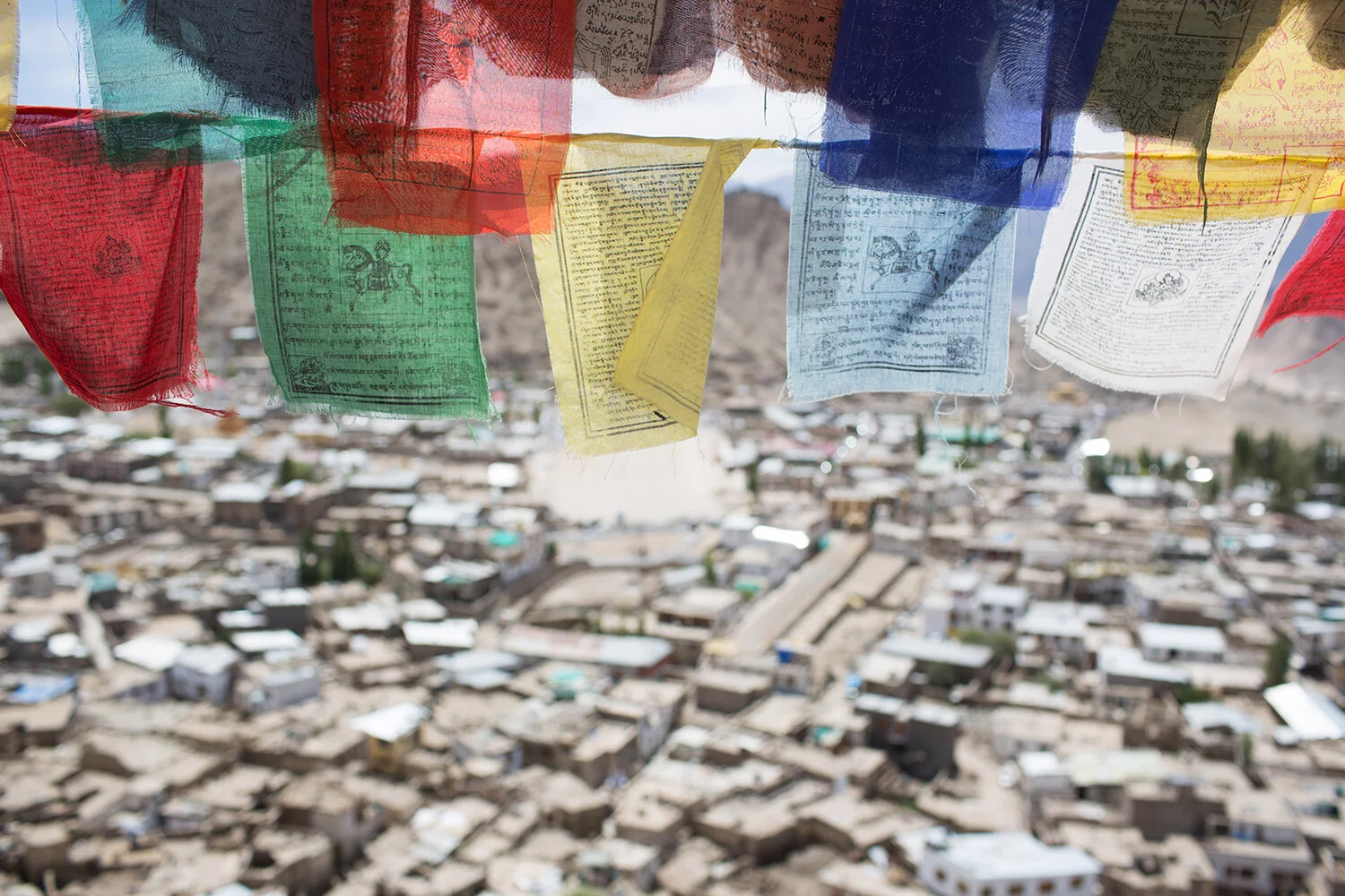  (06) Leh_Ladakh (INDIA) 