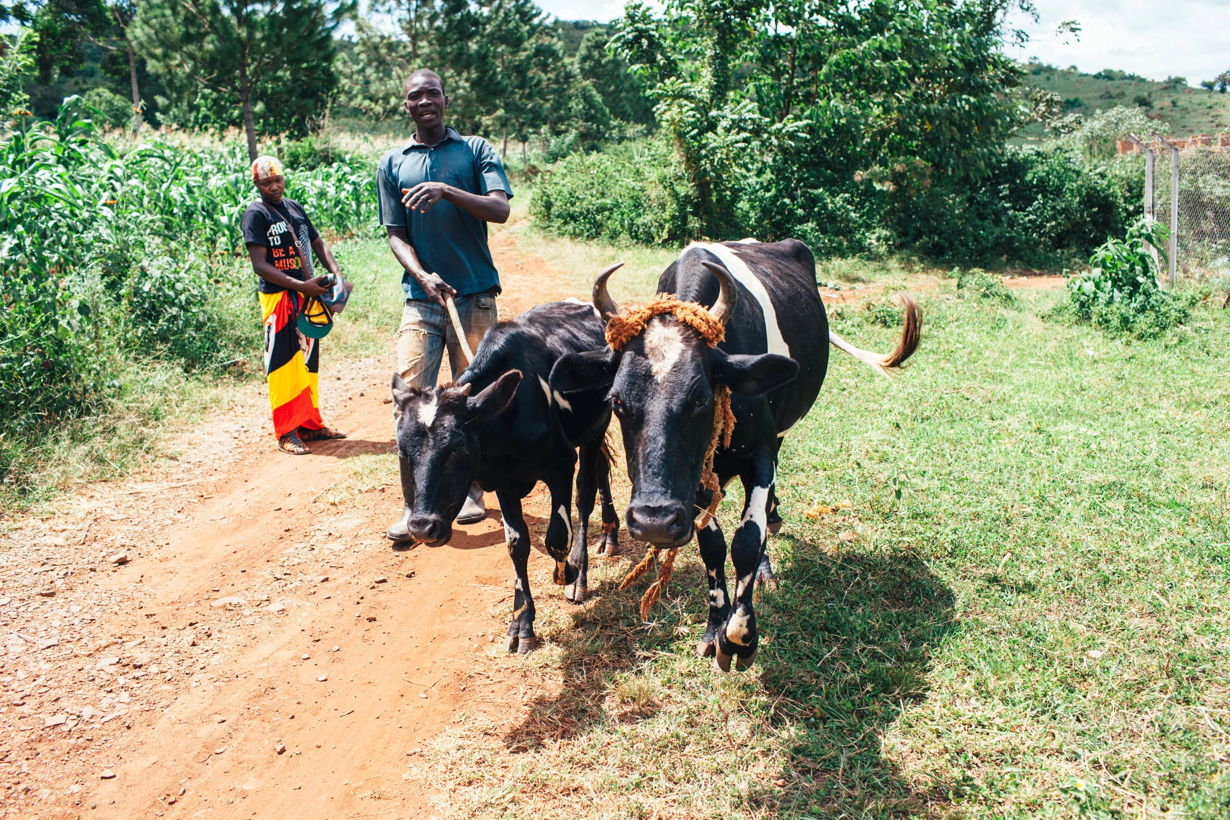 00017Uganda2.jpg