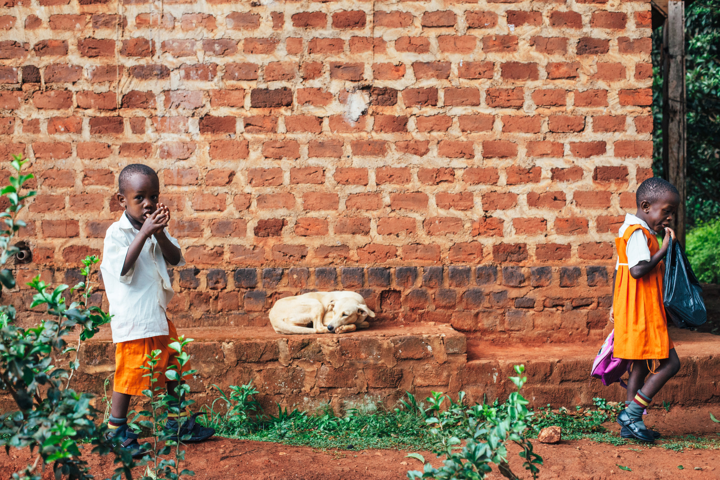00064Uganda3.jpg