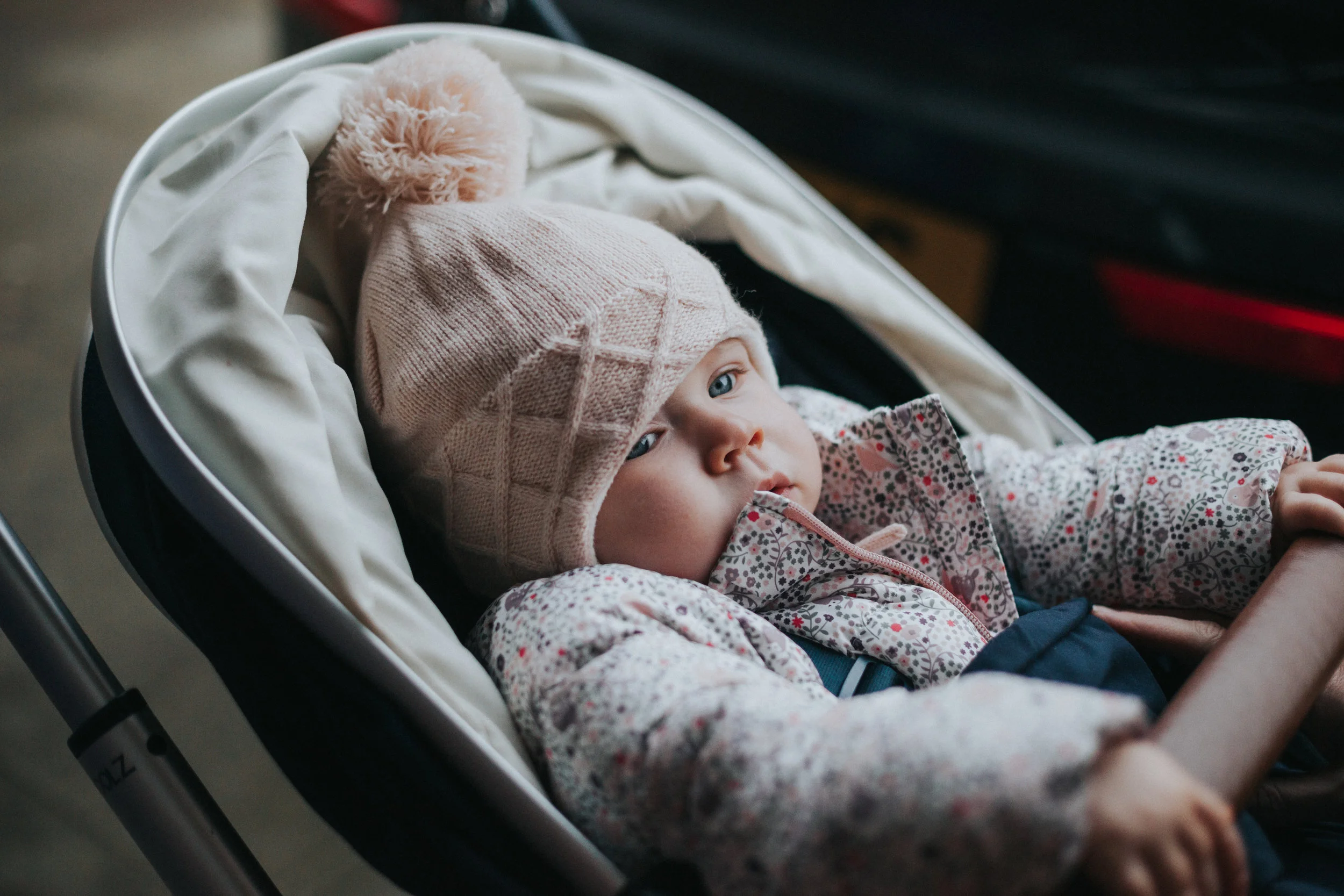 Evie wrapped up warm.