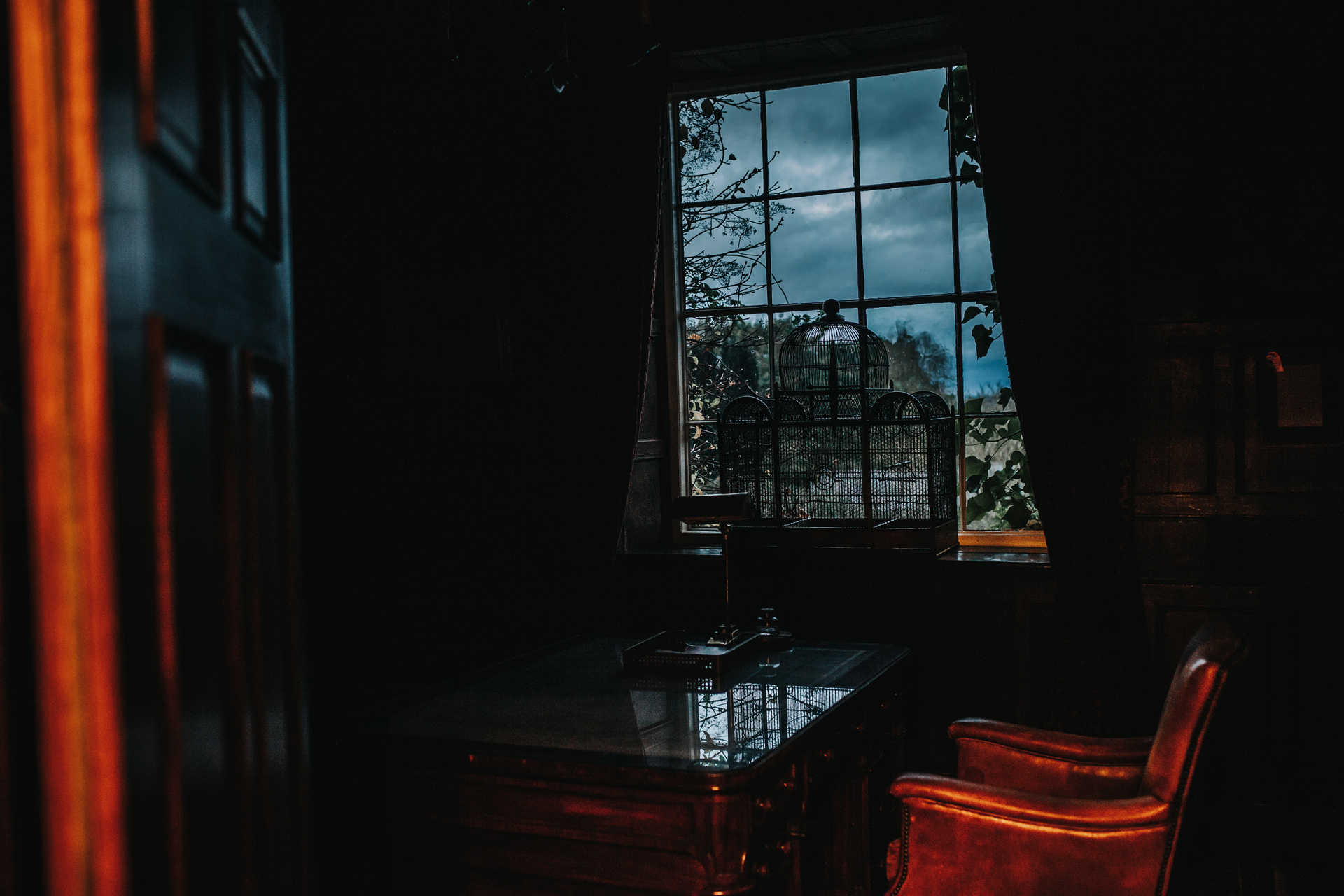 Spooky birdcage in a dark room.