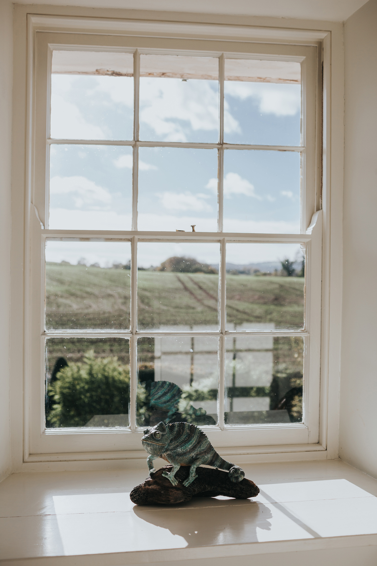 A window with a view over Callow with a Chameleon. 