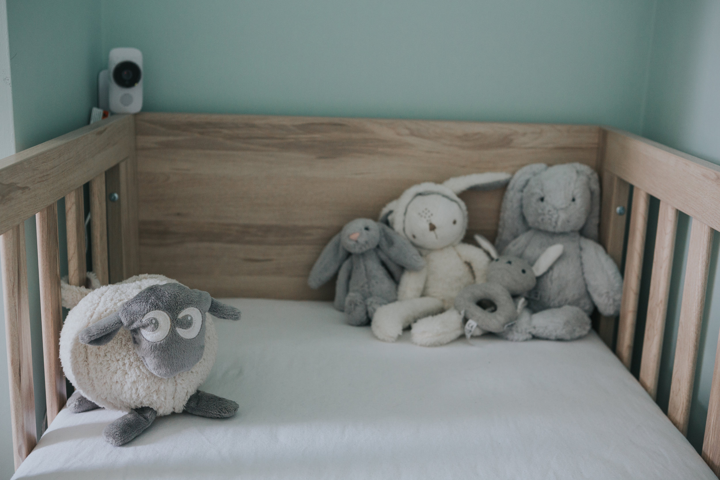 Teddies in cot.