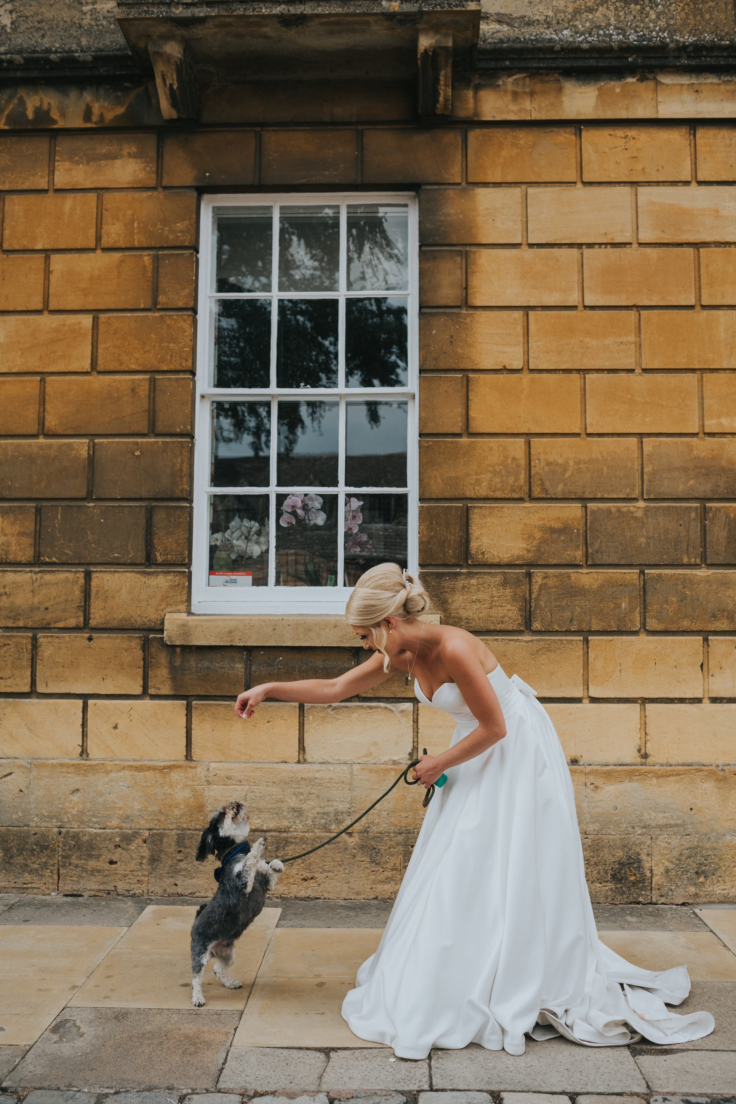 Bride has her dog beg for a treat.  (Copy)