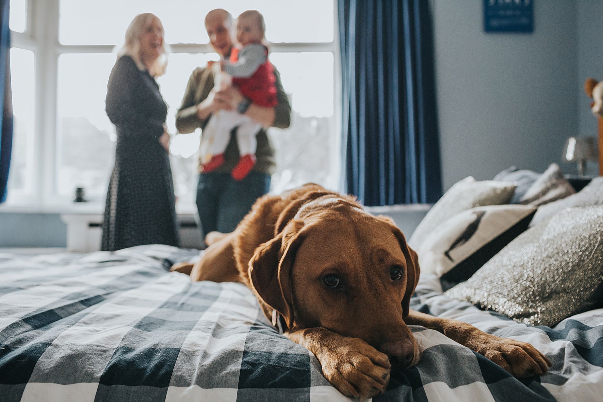 The family dog has a little rest of the bed, playing up to the camera during documentary family photo shoot, Liverpool. Family are pictured laughing behind the dog.  
