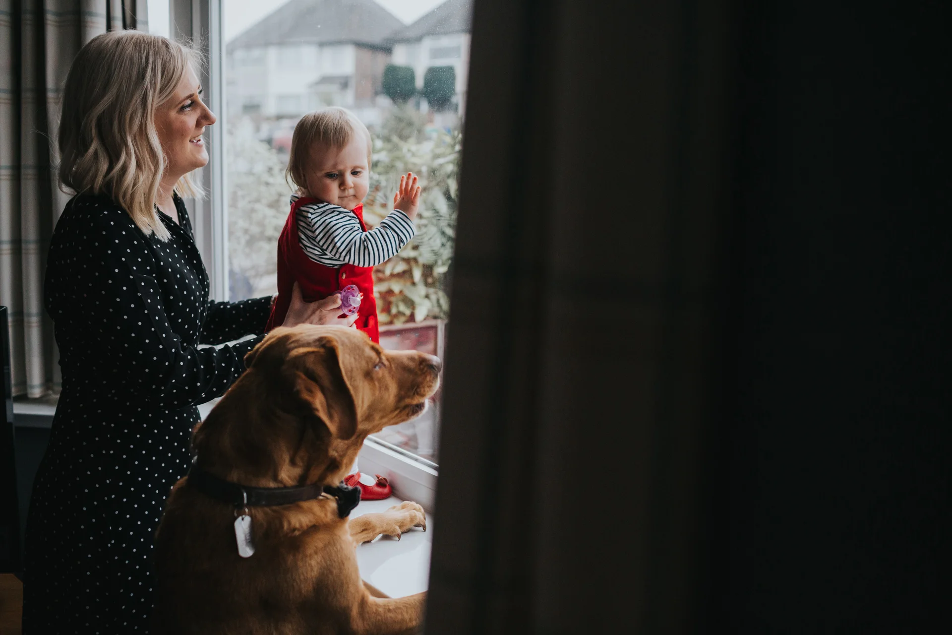 Mum, baby and dog look out of the window. 