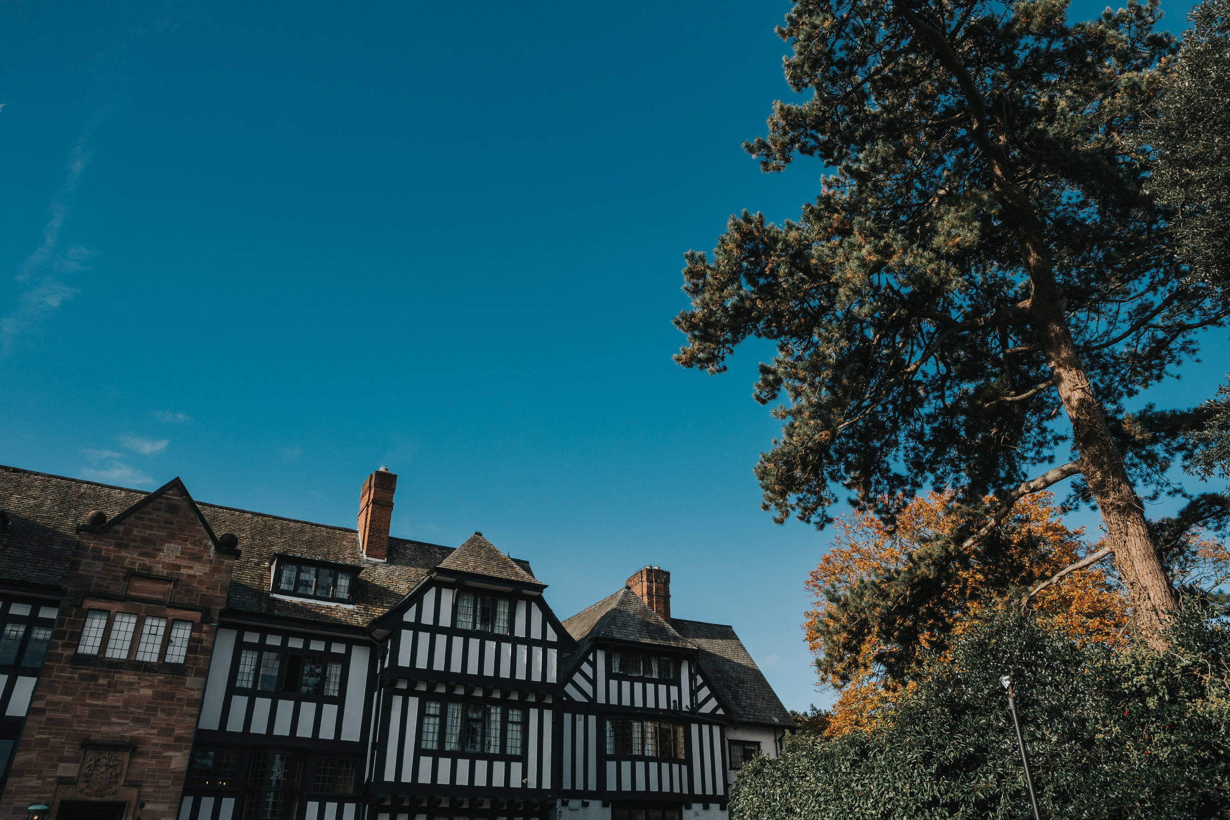 Inglewood Manor and surrounding trees. 