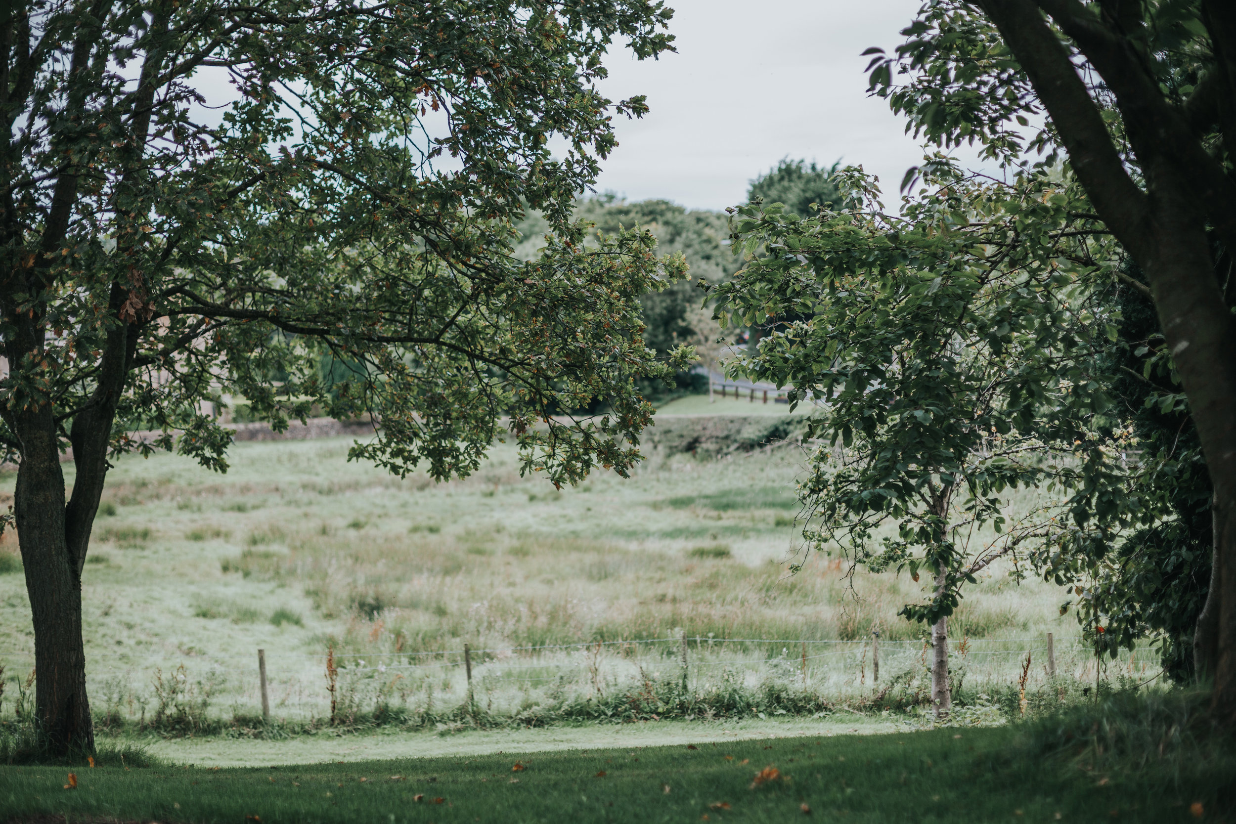 The back field at Mytton Fold. 