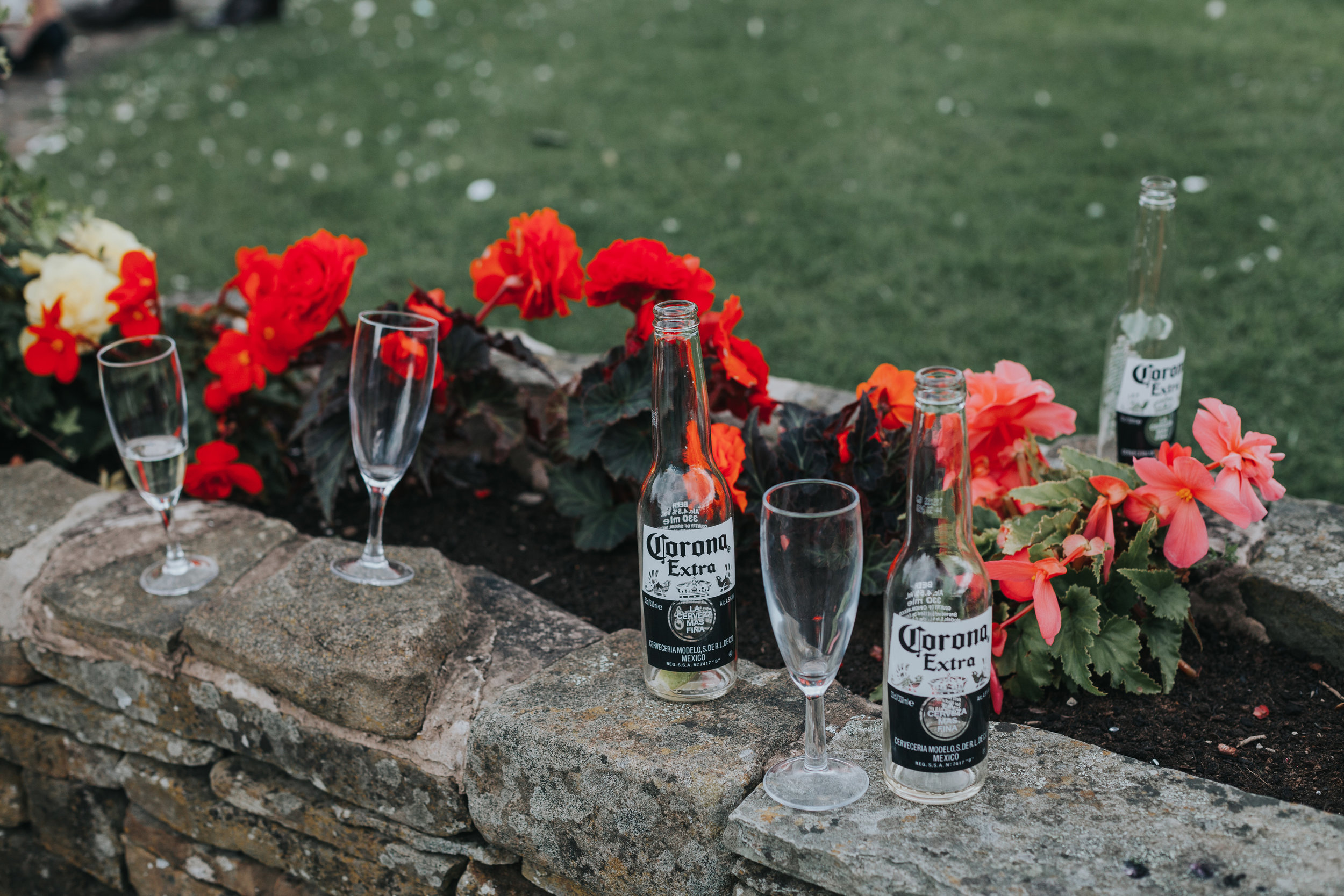 Empty beer bottles and champagne flutes are left in the flower bed. Red flowers. 