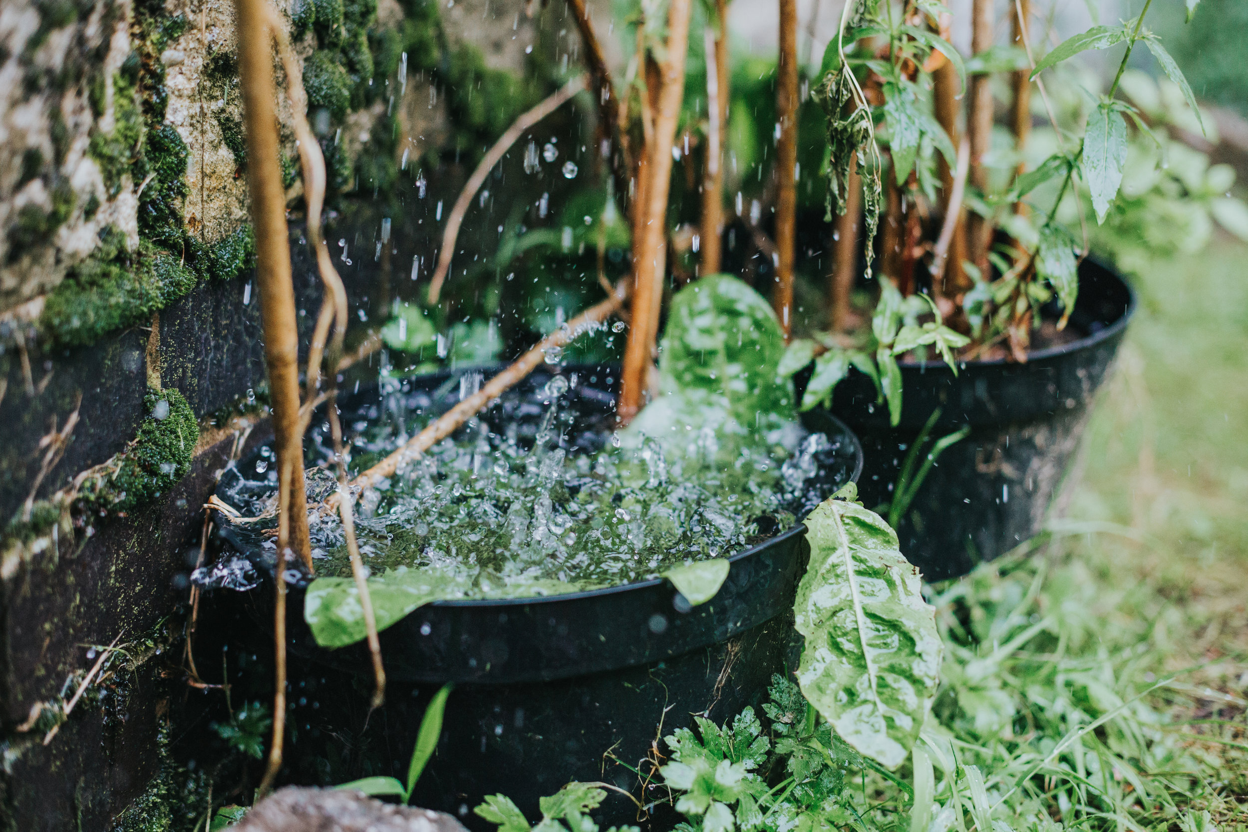 Heavy raindrops cause a plant pot to flood and big splashes as it overflows.