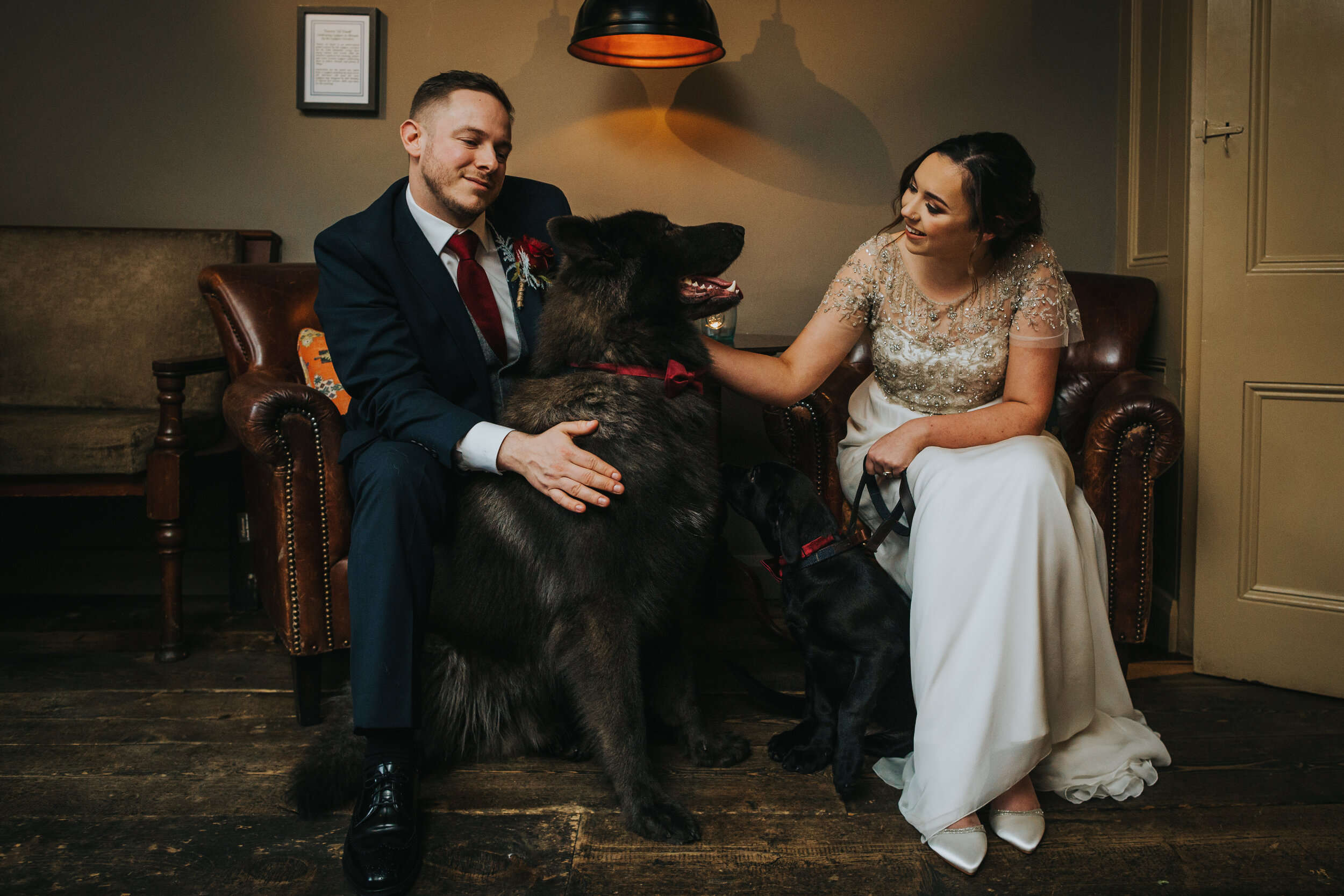 The bride and groom have a moment with their dogs. 