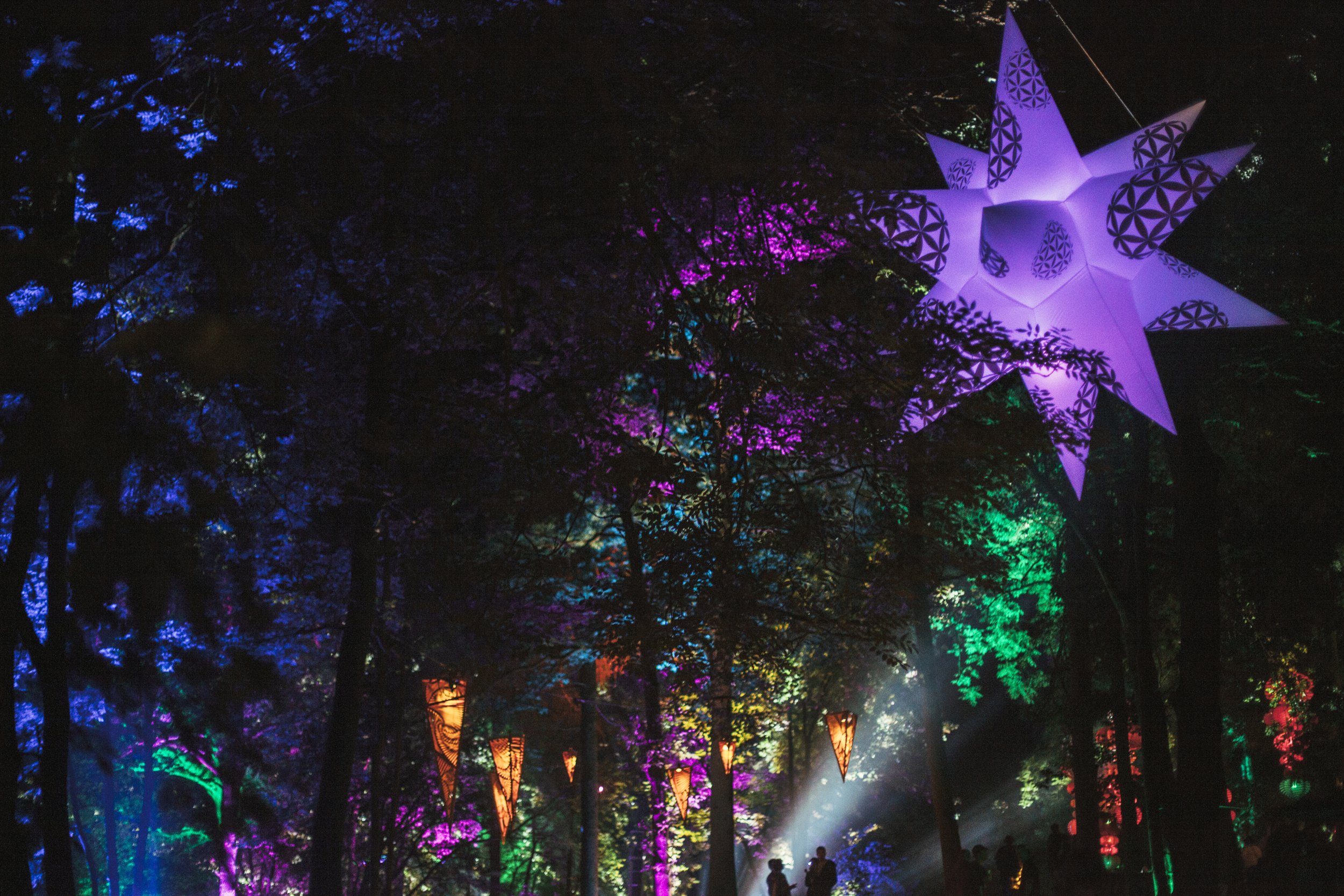 00102Noisily2016.jpg