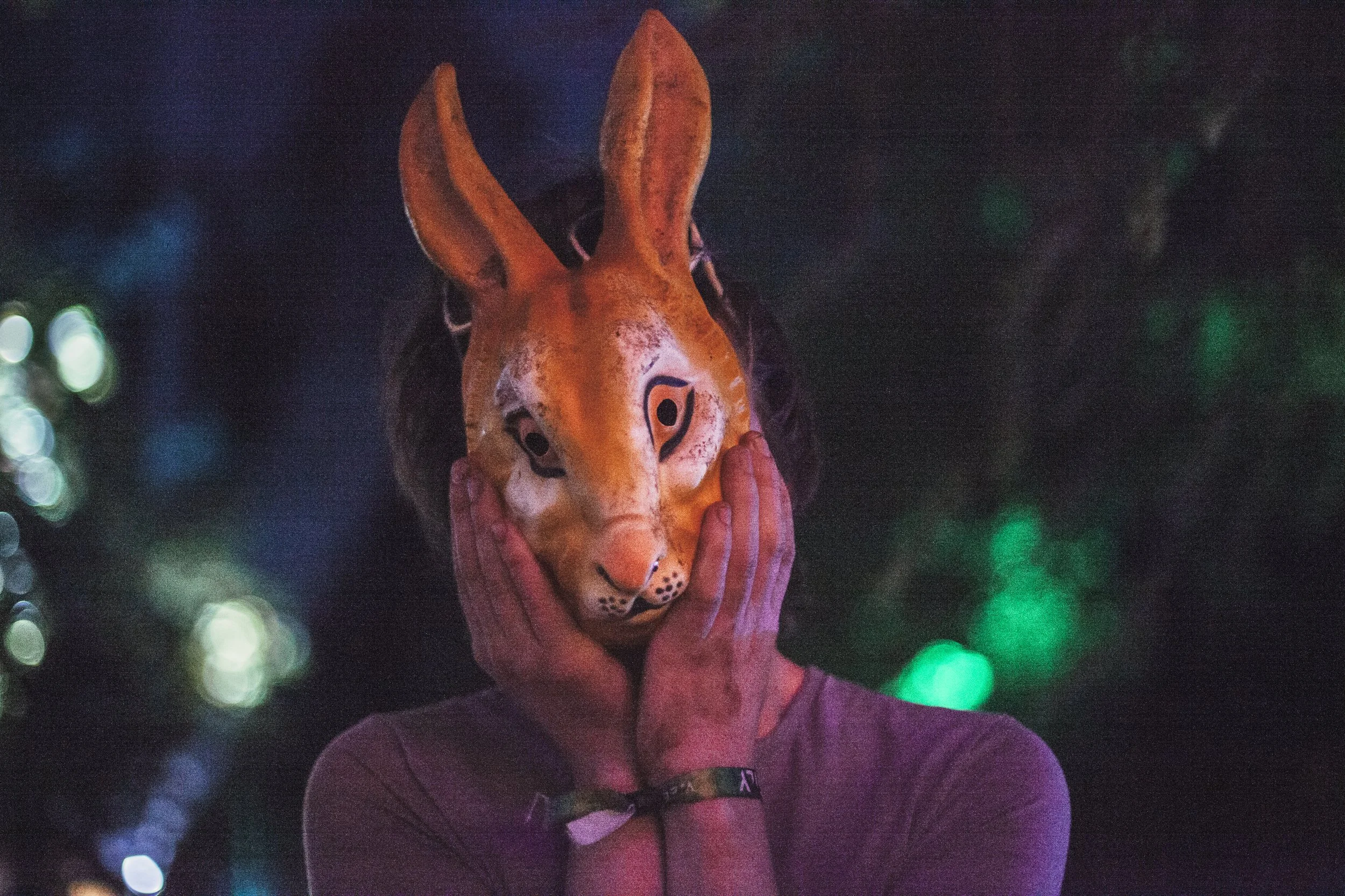 00088Noisily2016.jpg
