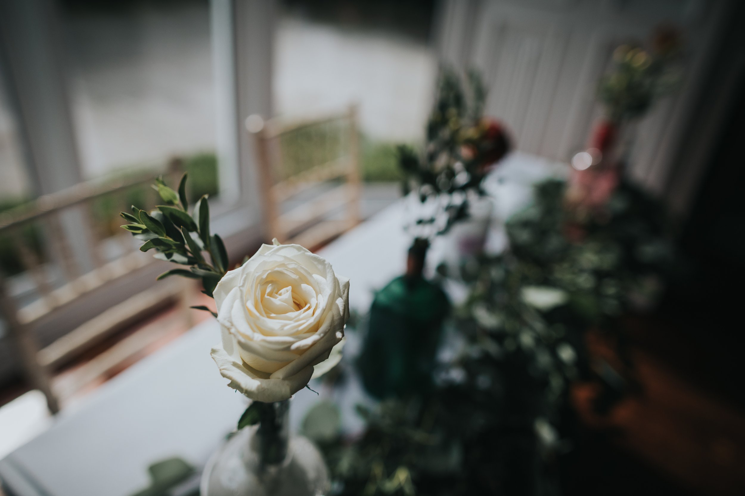 White rose in gin bottle. 