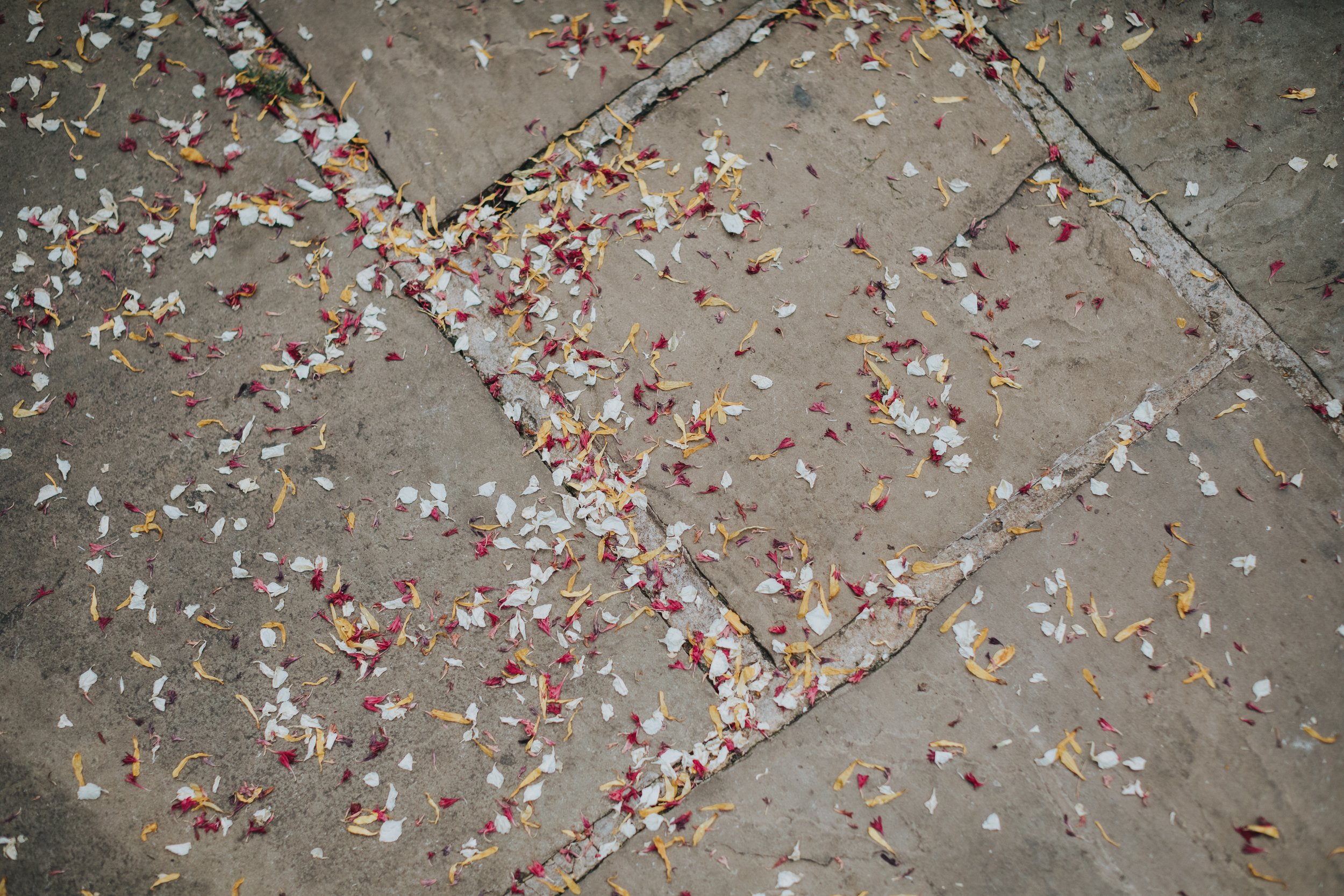 Dried petal confetti on the floor. 