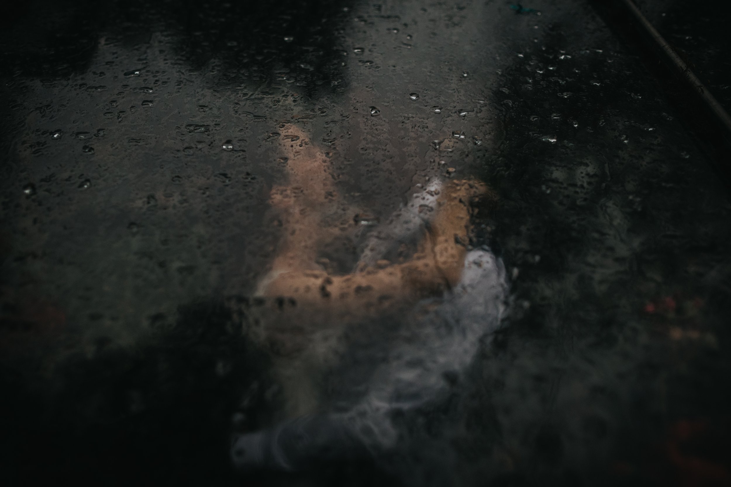 Bride and groom kissing in green house, focus on the rain. 