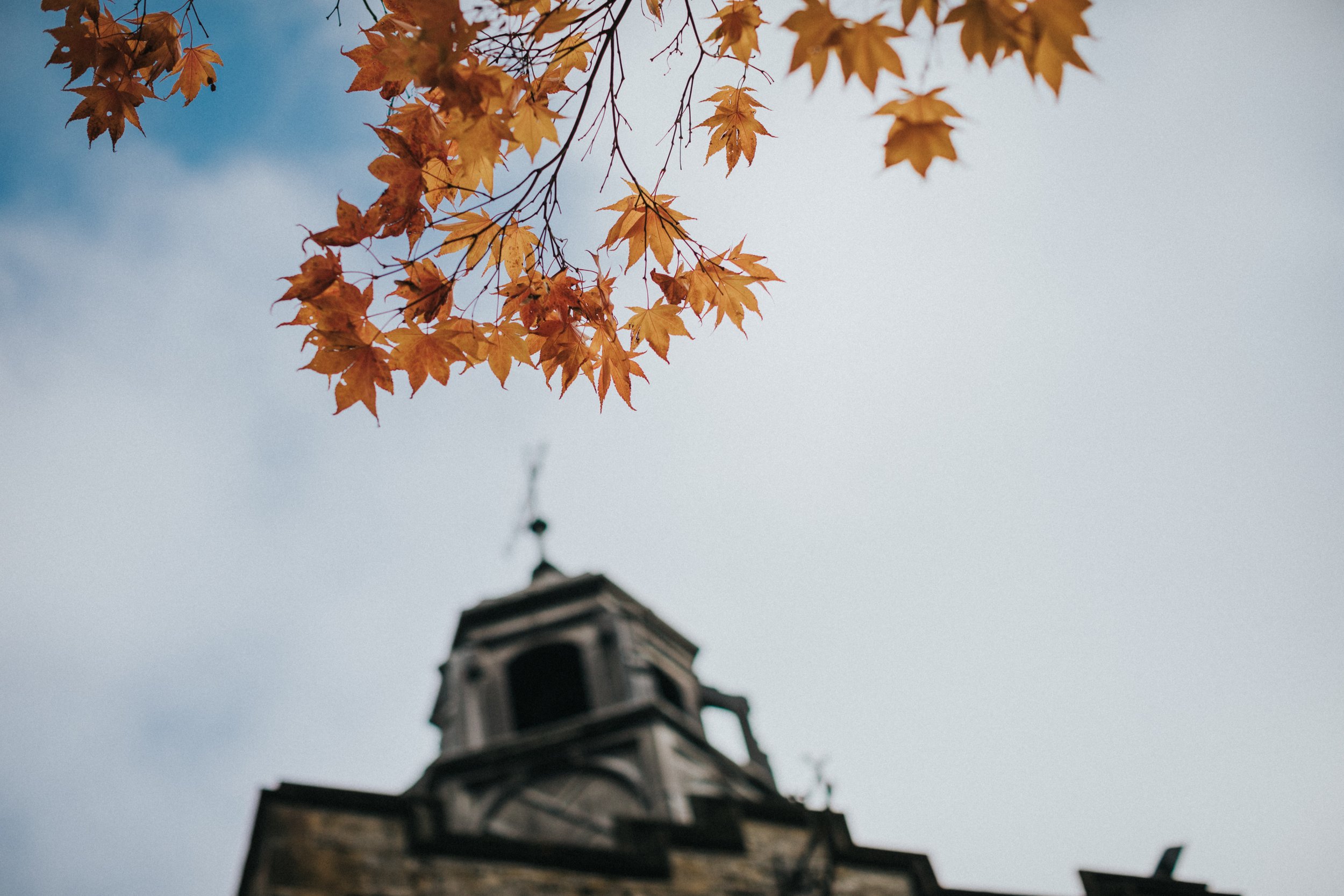 Autumn leaves with Carriage House clock tower in tower in the back ground. 