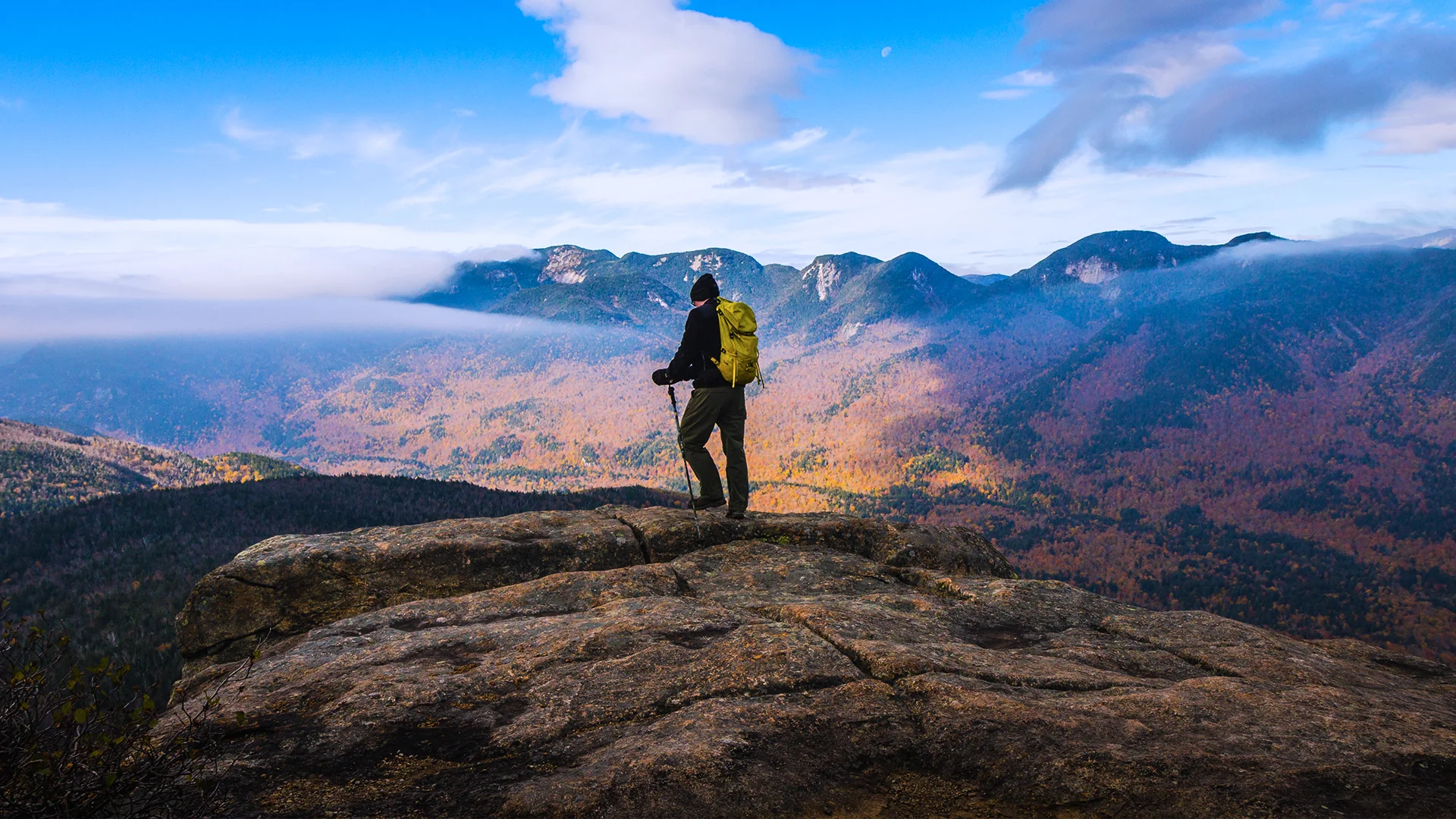 ADKAutumn-Homepage.jpg
