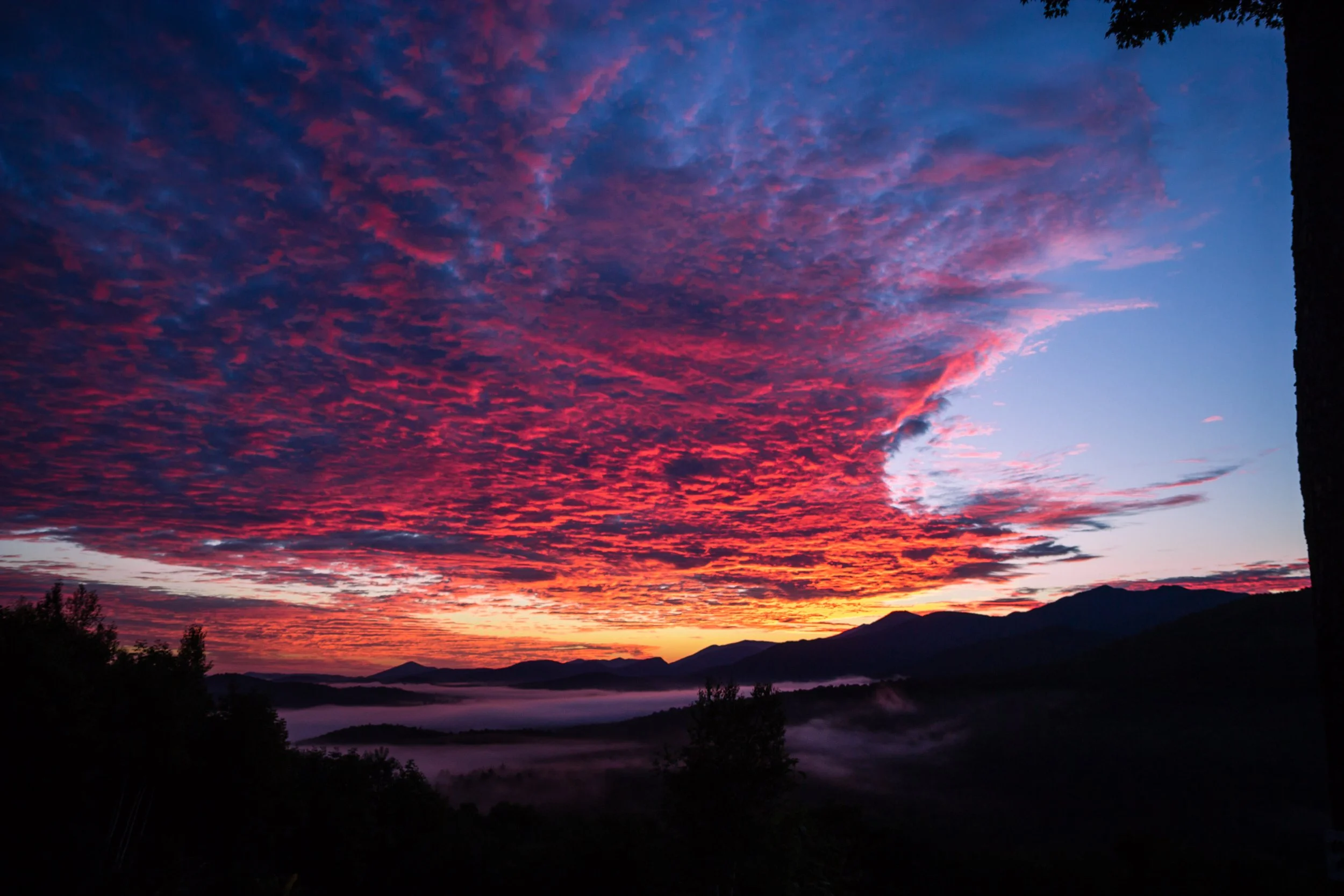 Arche Sunrise Palate.jpg