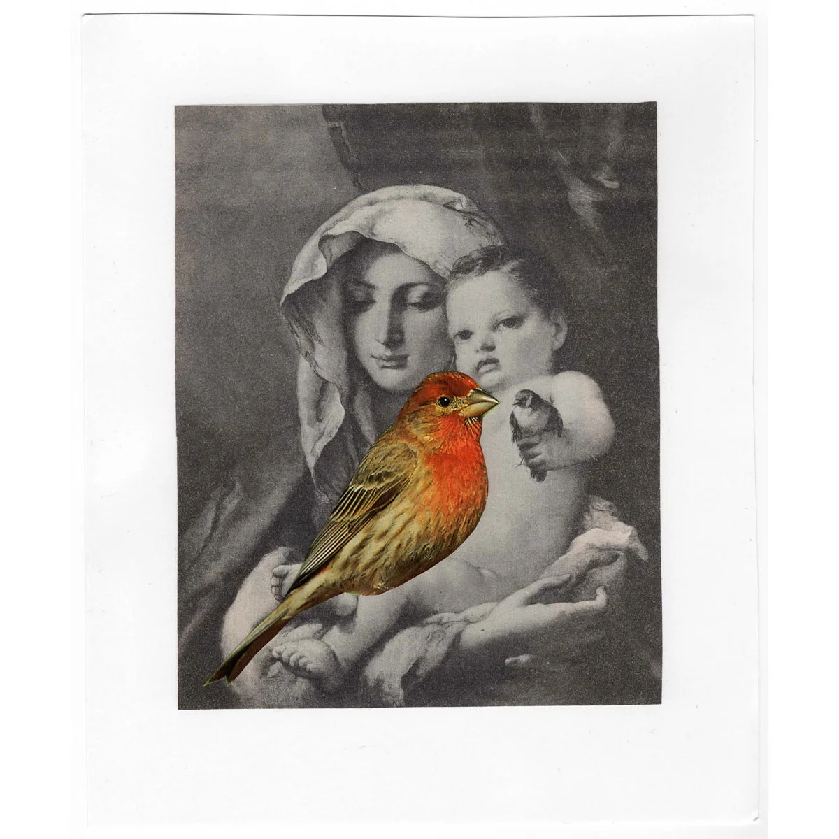 baby-bird.jpg