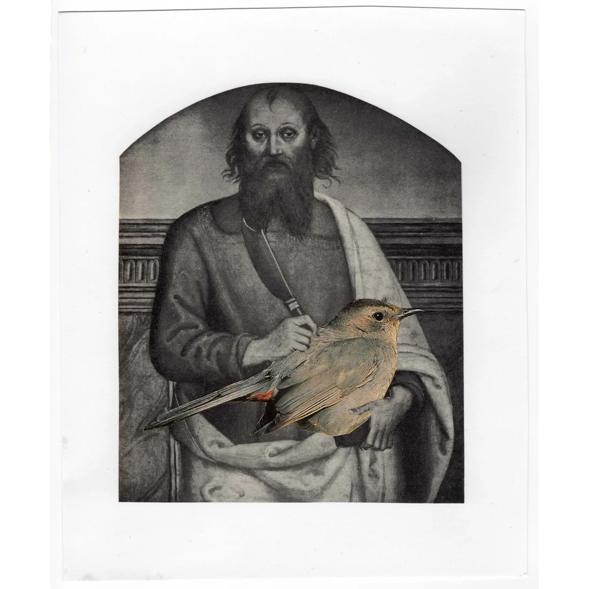 lap-bird.jpg