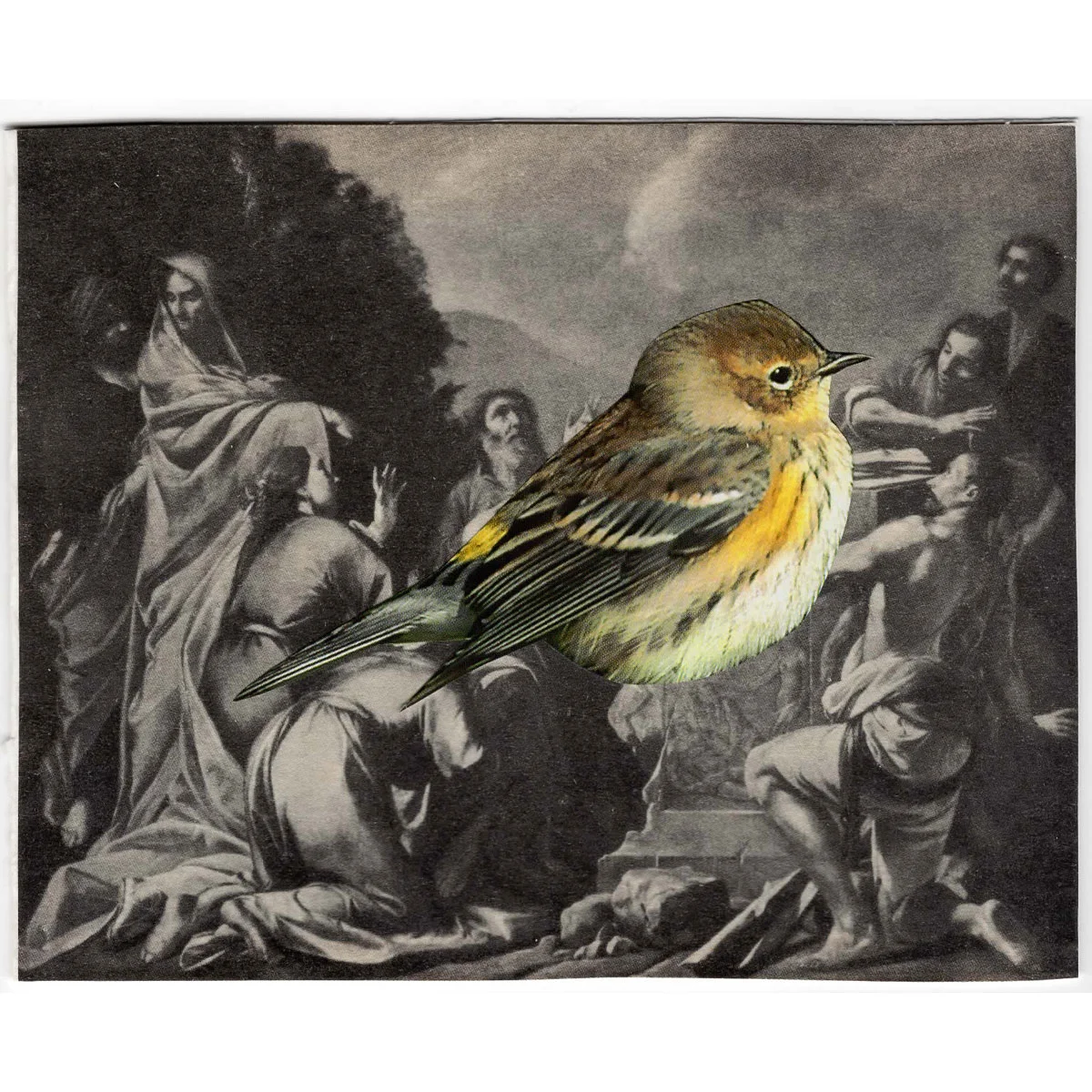 What You Lookin' At?